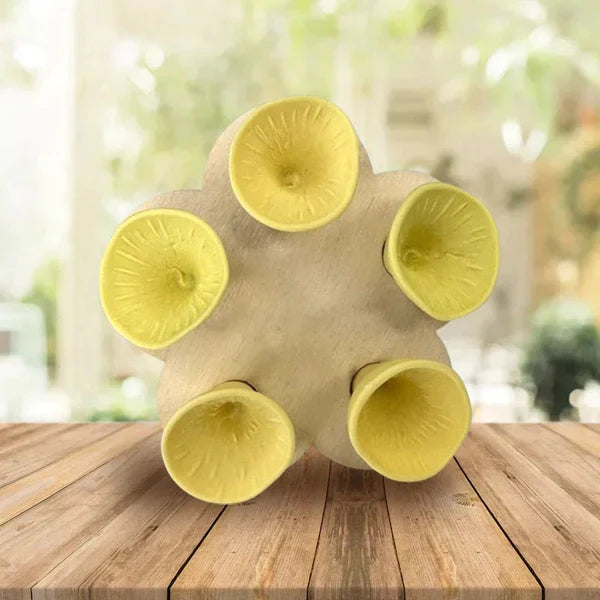 💐🐝Bee Insect Drinking Cup - A SET (5PCS)