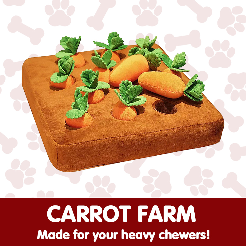 Carrot Farm
