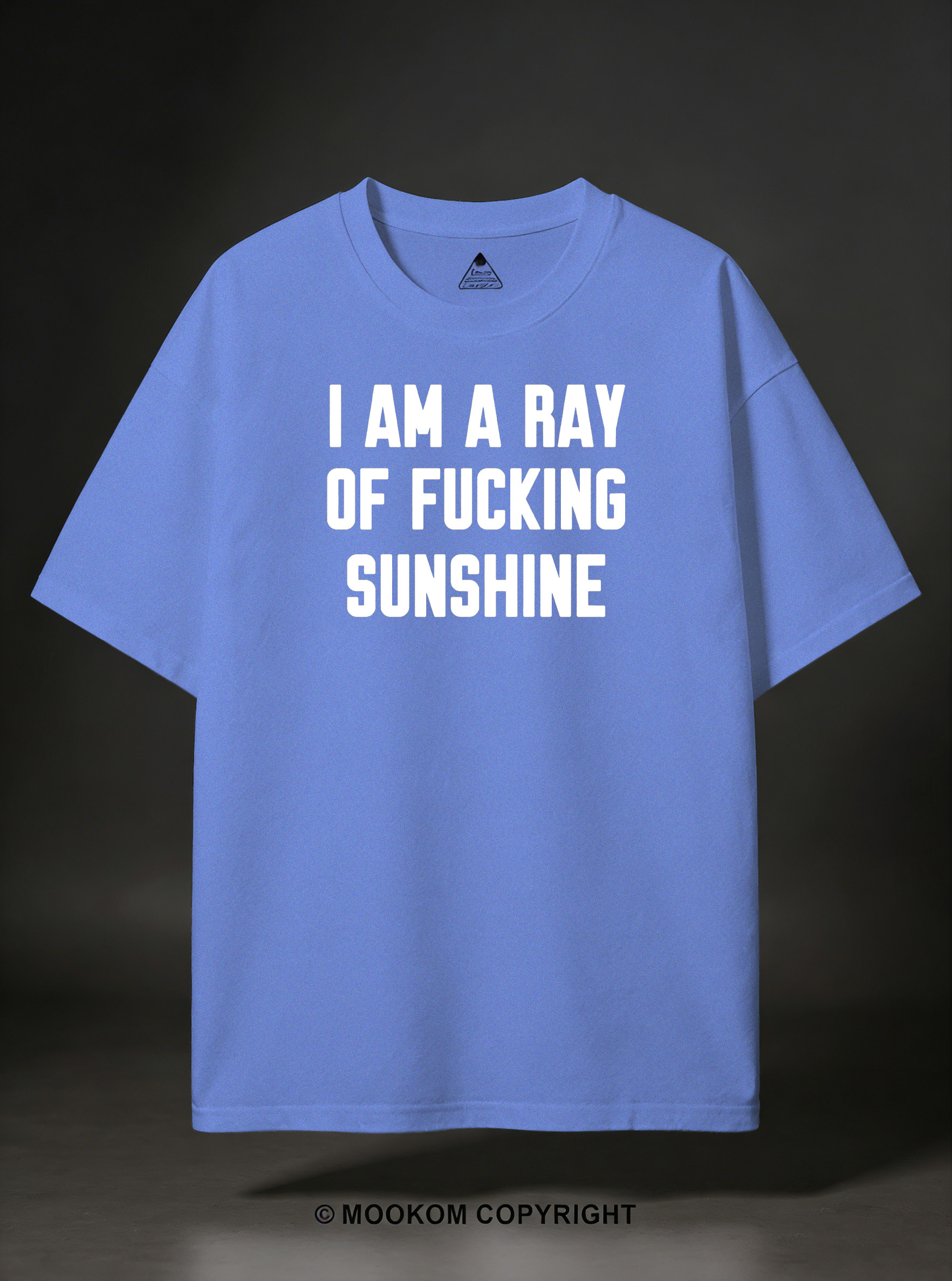 I AM A RAY OF FUCKING SUNSHINE Print Casual Short Sleeve T-shirt