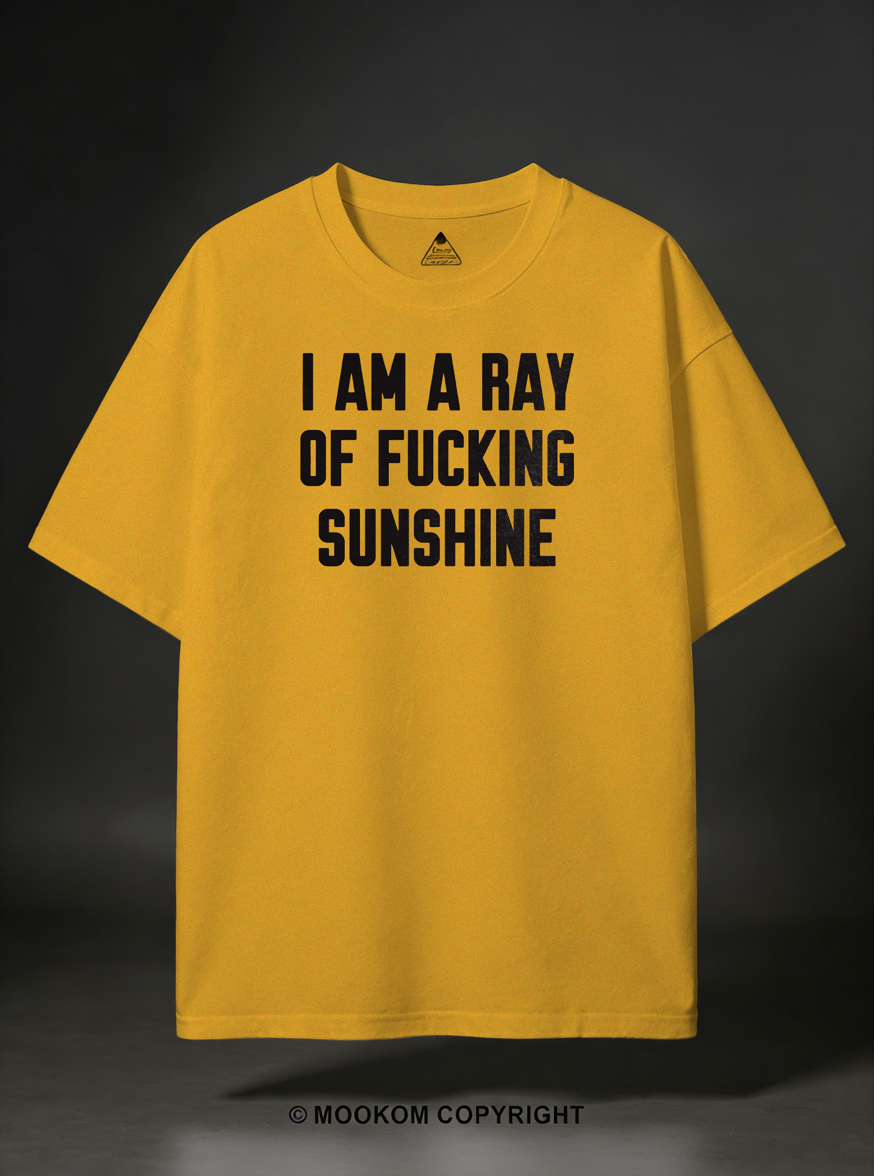 I AM A RAY OF FUCKING SUNSHINE Print Casual Short Sleeve T-shirt