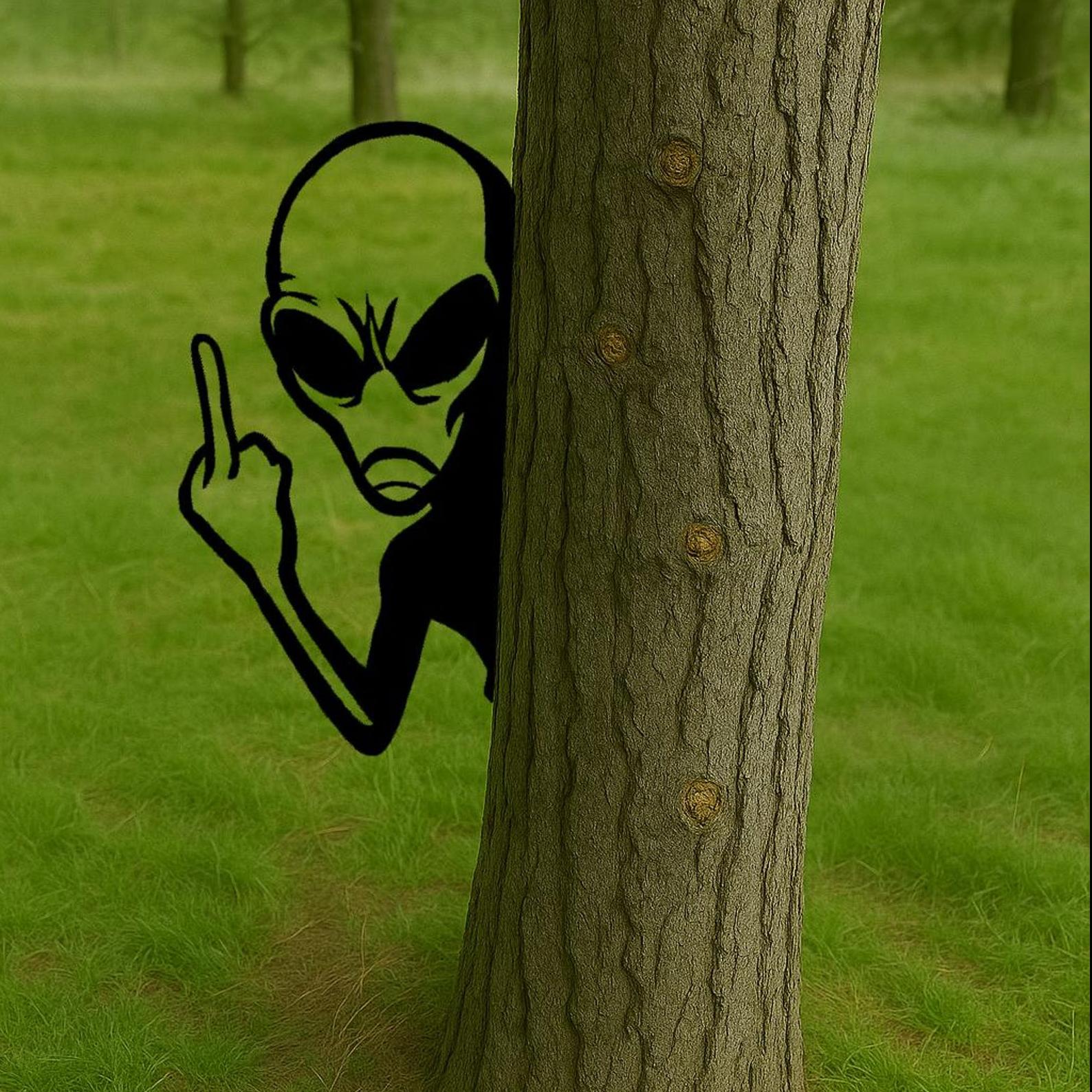 Funny Peek-a-Boo Alien Metal Sign