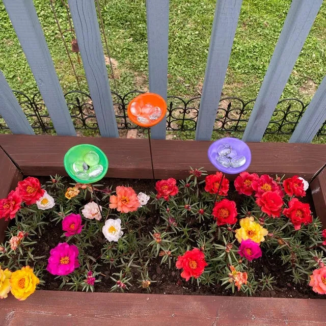 🔥Handmade Bee Watering Station, Butterfly Puddler, Hummingbird Drinking Cups
