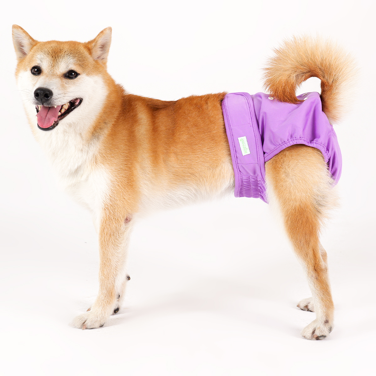 Female Dog Diapers, 3-Pack, Multicolor