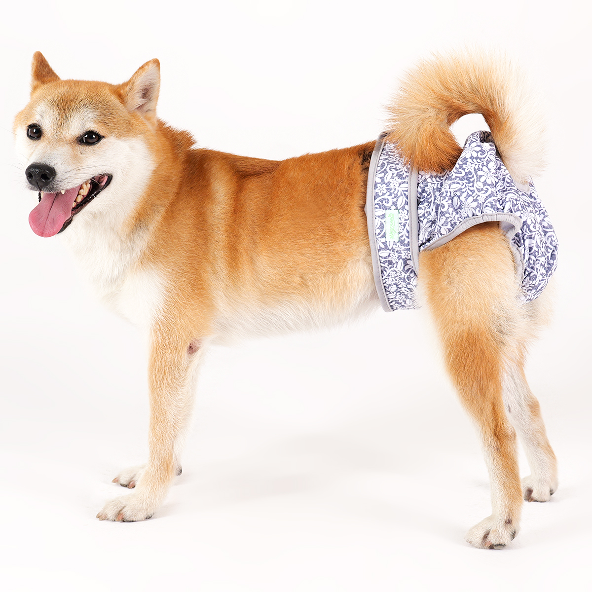 Female Dog Diapers, 3-Pack, Multicolor