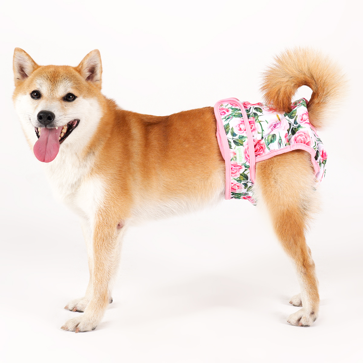 Female Dog Diapers, 3-Pack, Multicolor