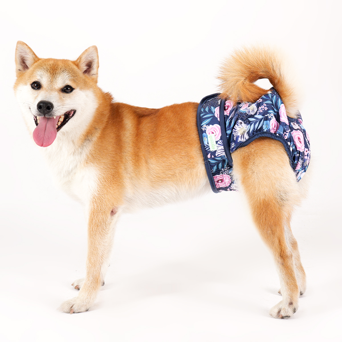 Female Dog Diaper Wegreeco