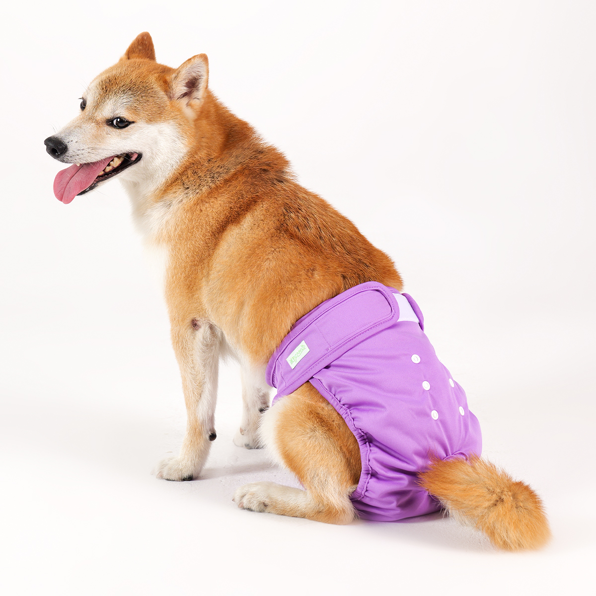 Female Dog Diapers, 3-Pack, Multicolor