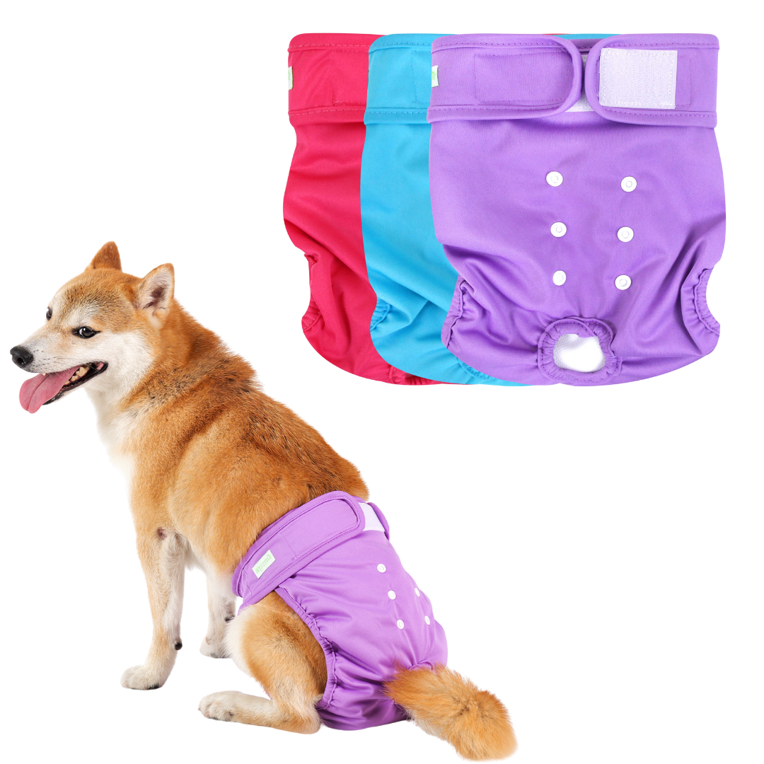 Female dog diapers