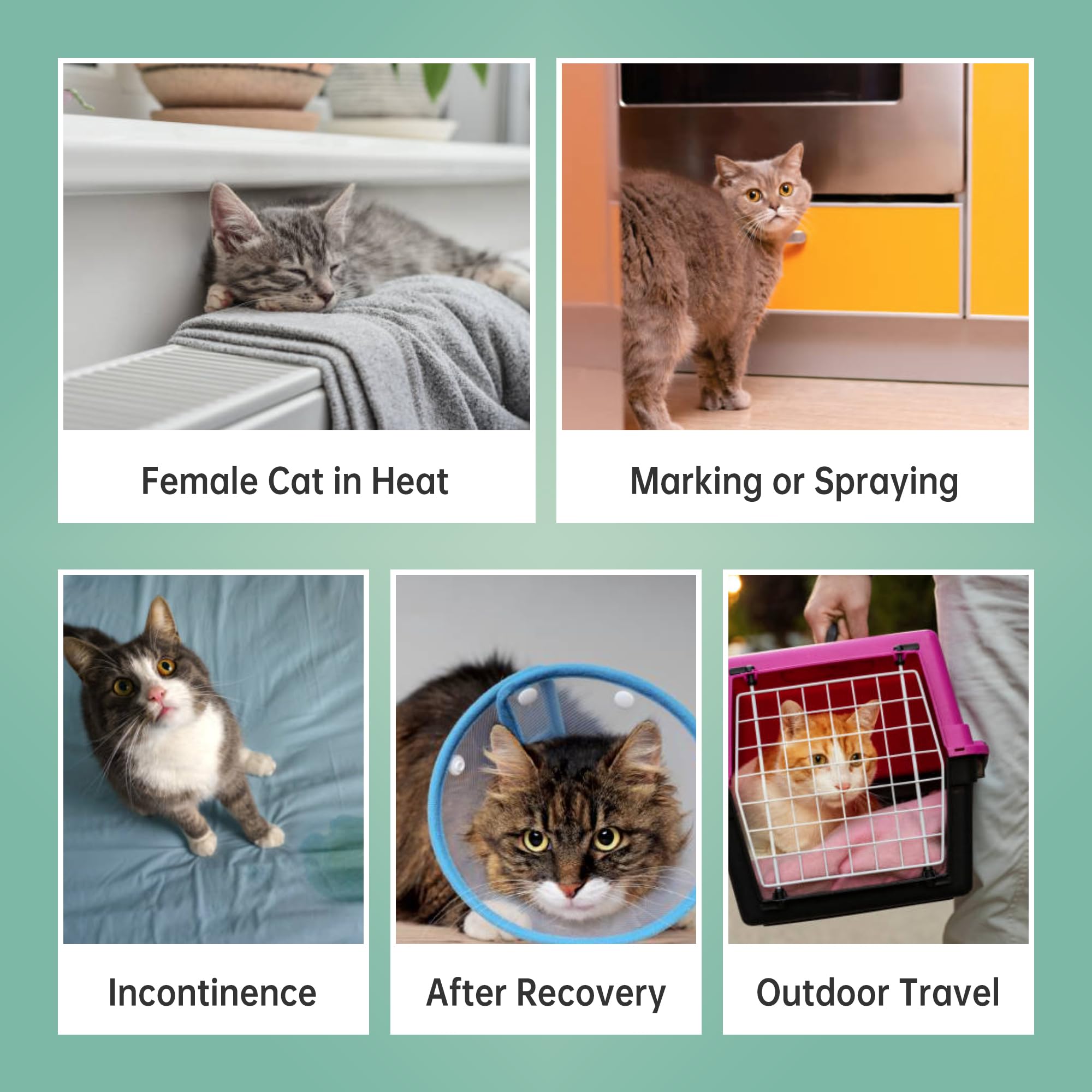 Wegreeco Cat Diapers, 3-Pack