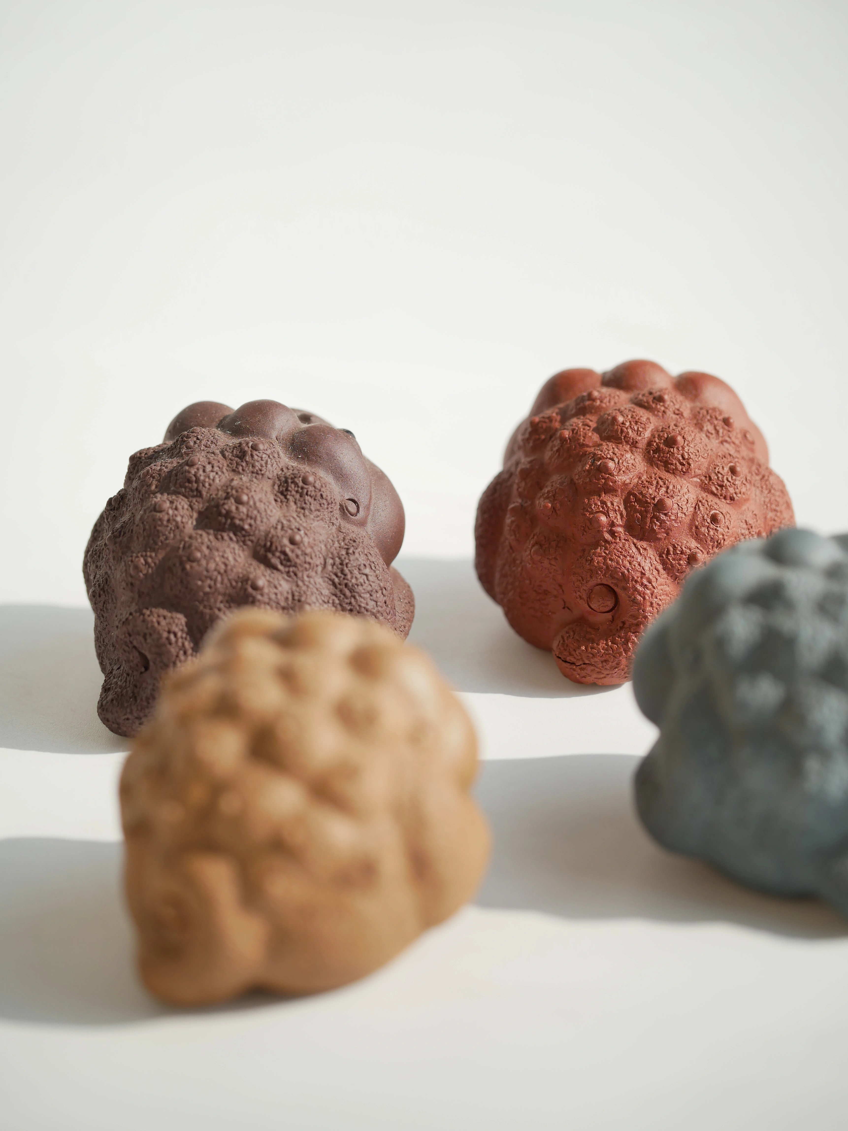 4 Colors Toads
