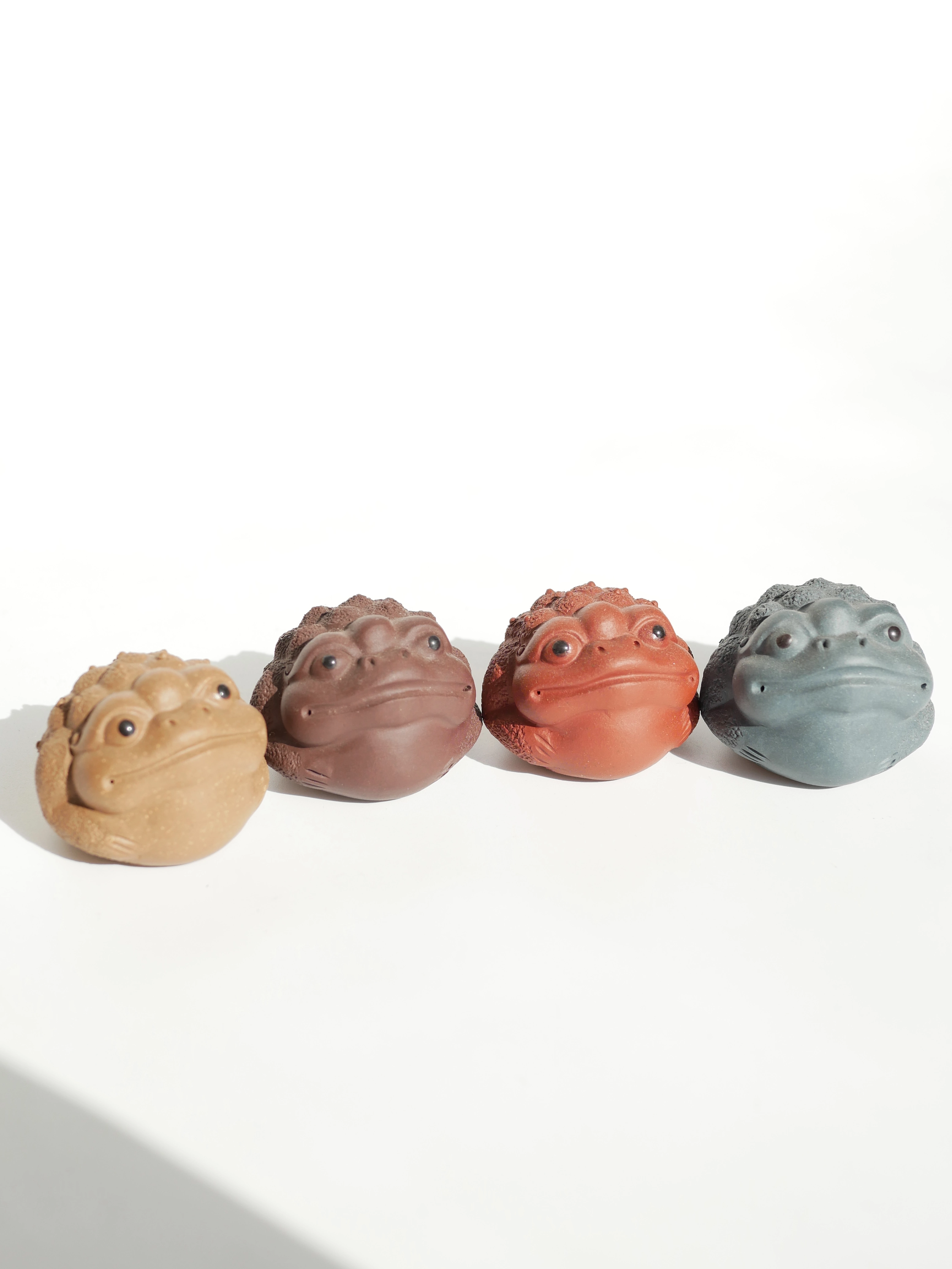 4 Colors Toads