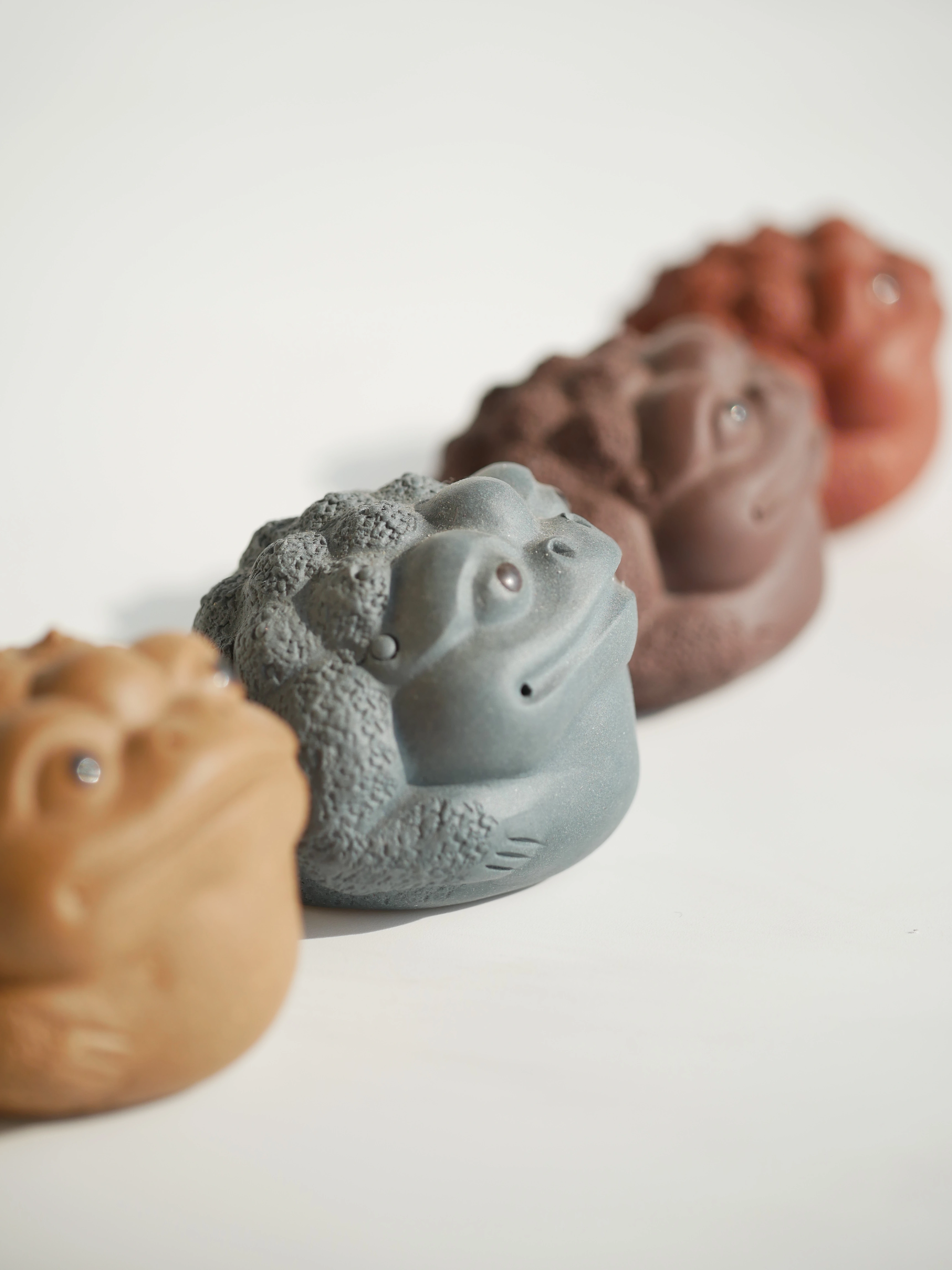 4 Colors Toads