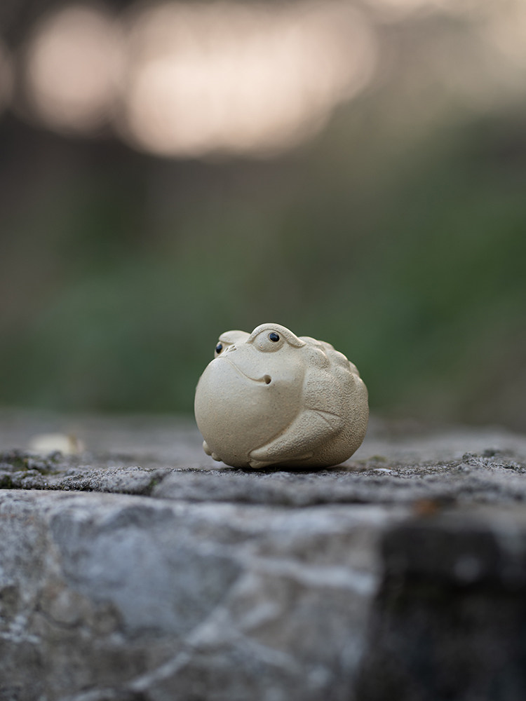 Pitbull Toad