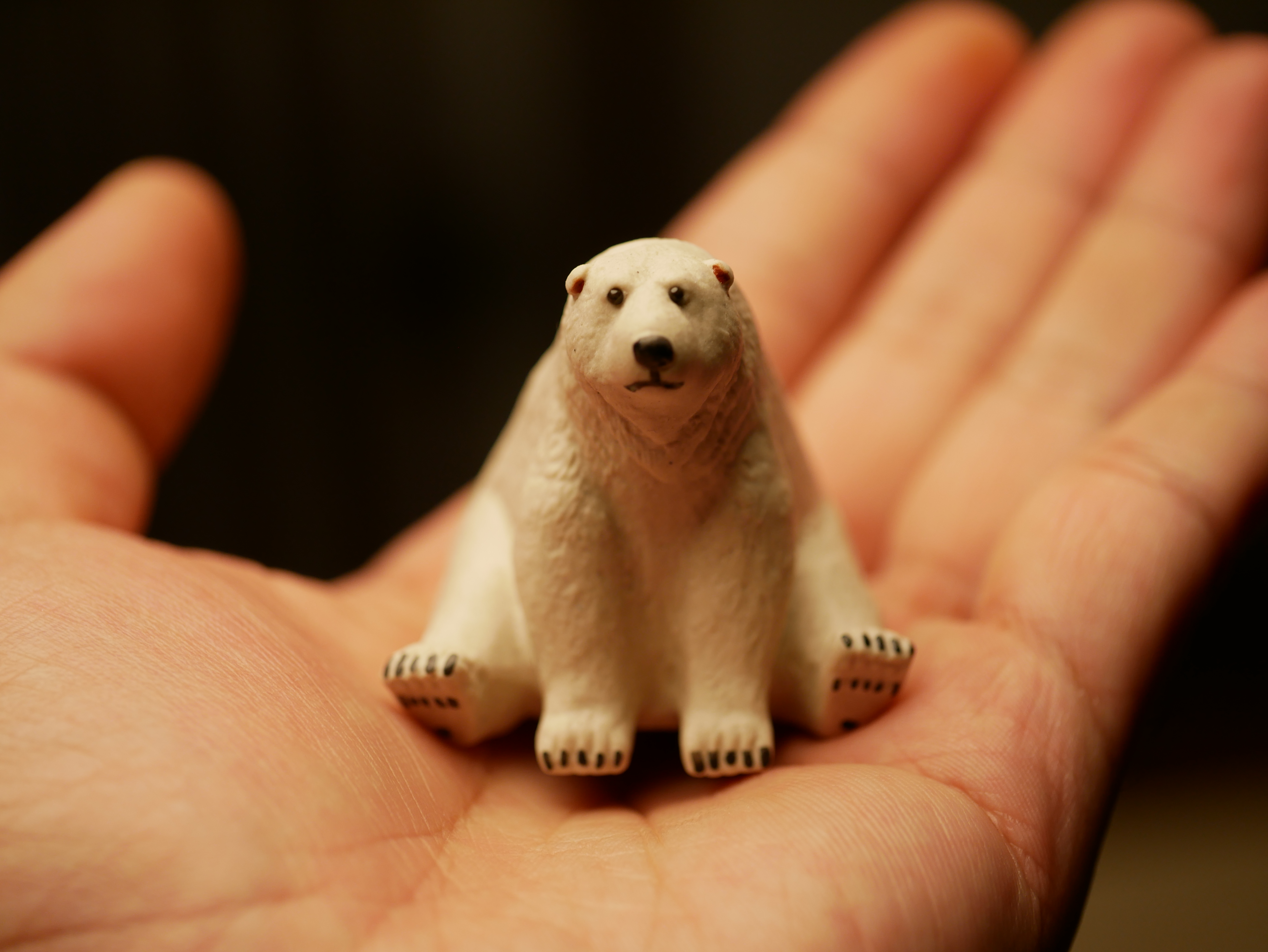 Adorkable Polar Bear