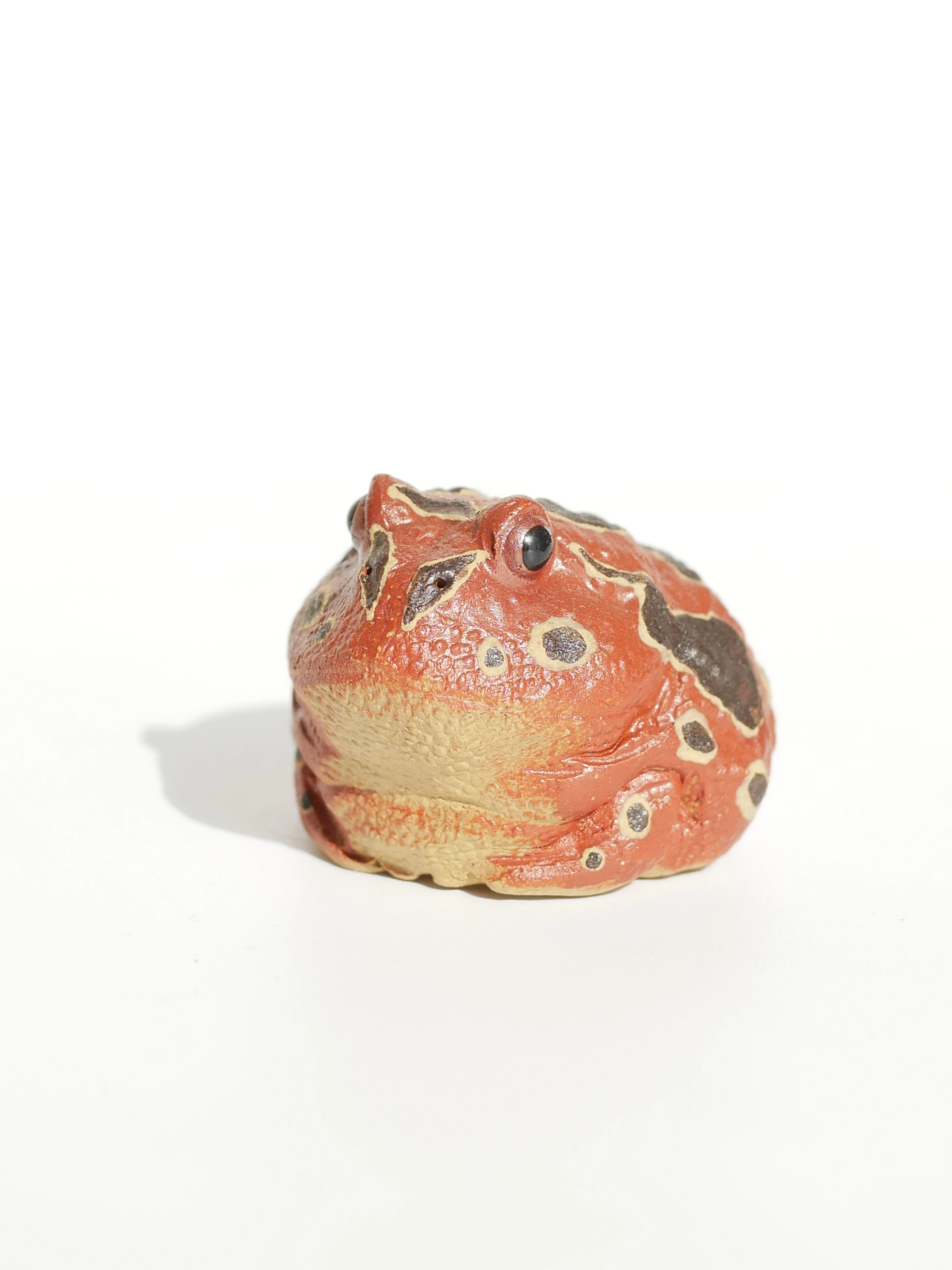 Mini Toads