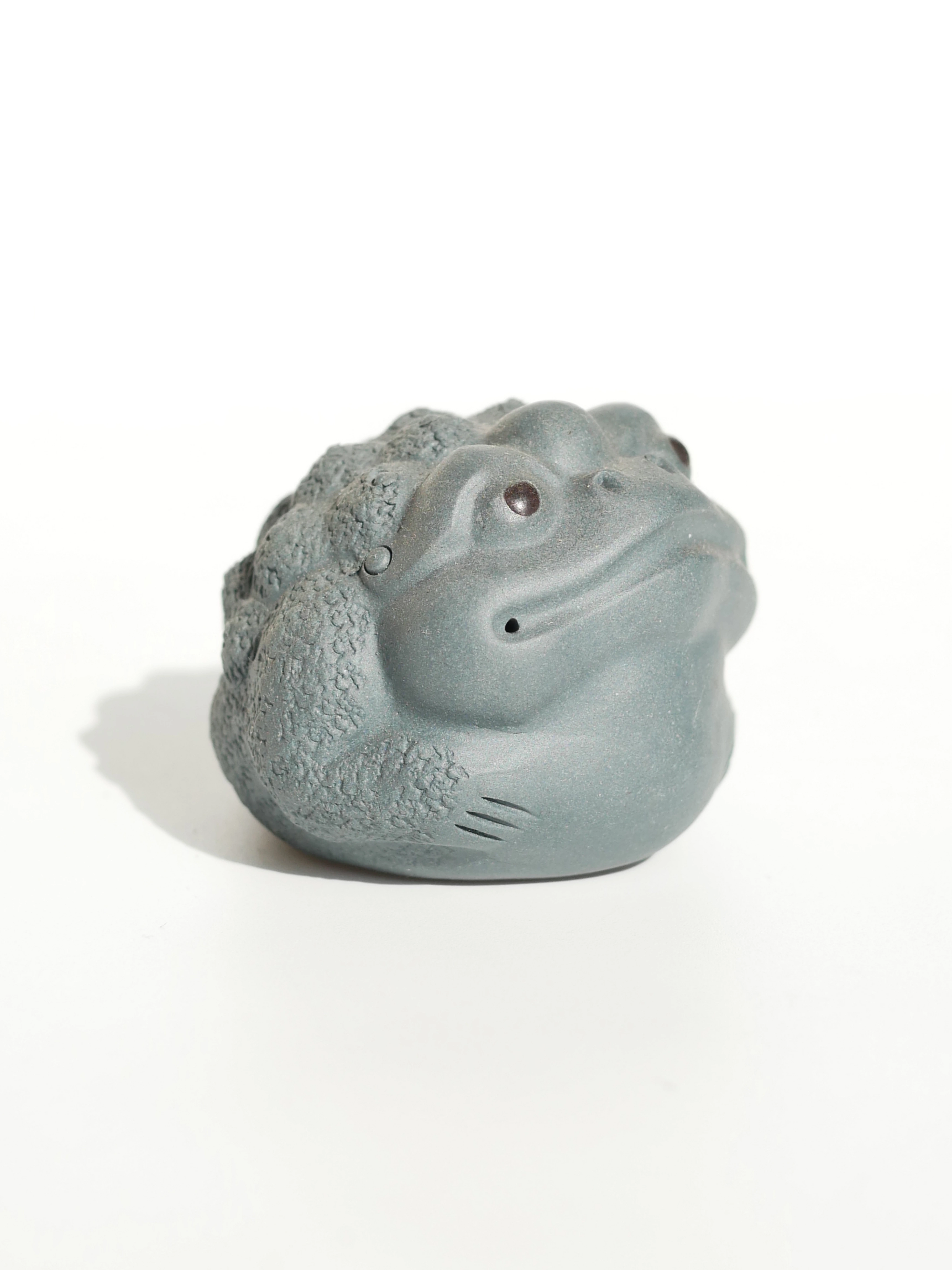 4 Colors Toads