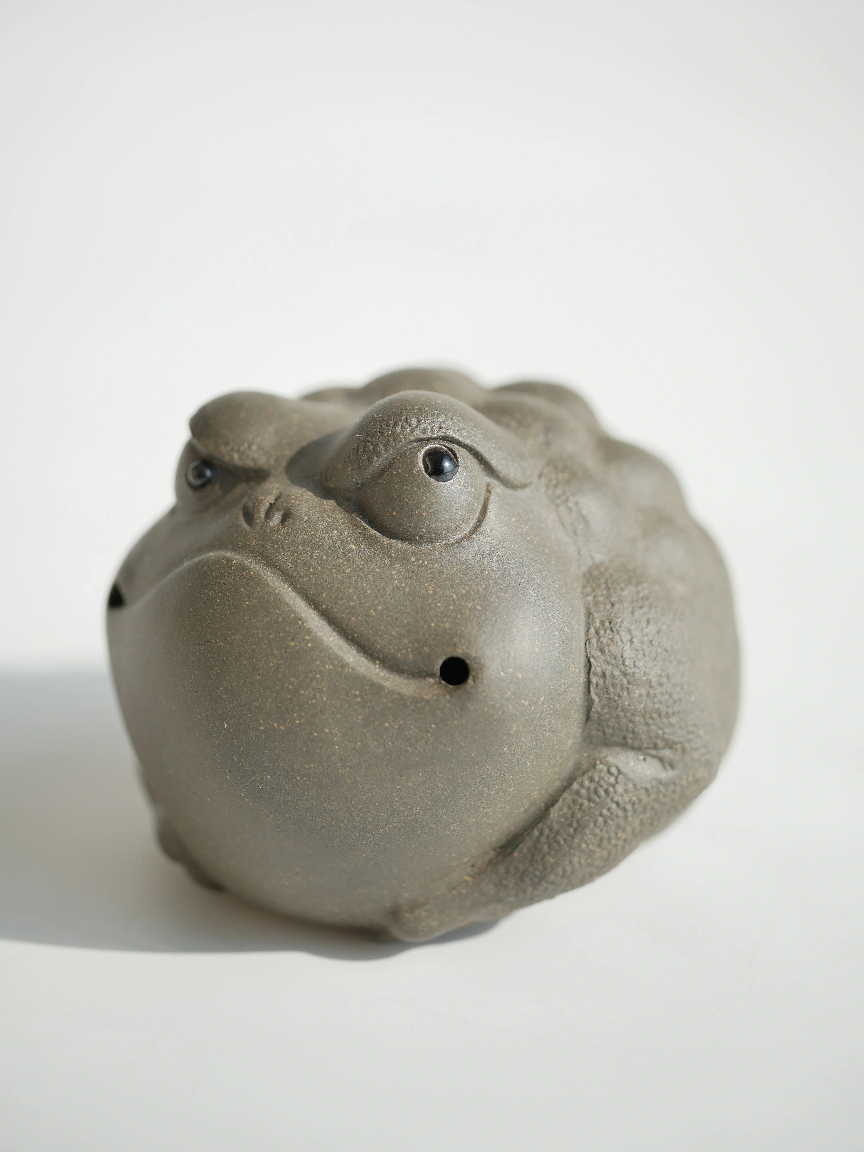Pitbull Toad