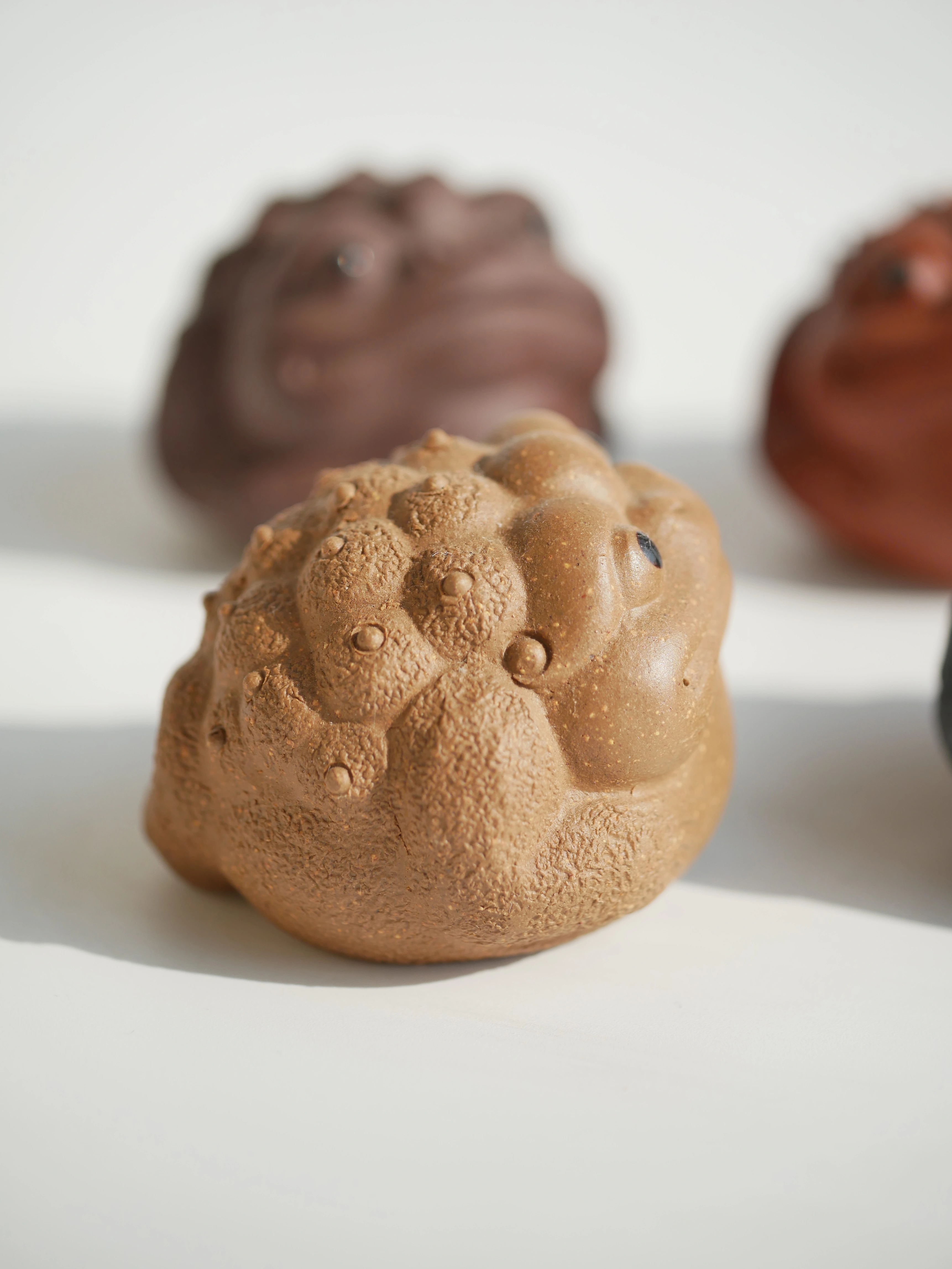4 Colors Toads