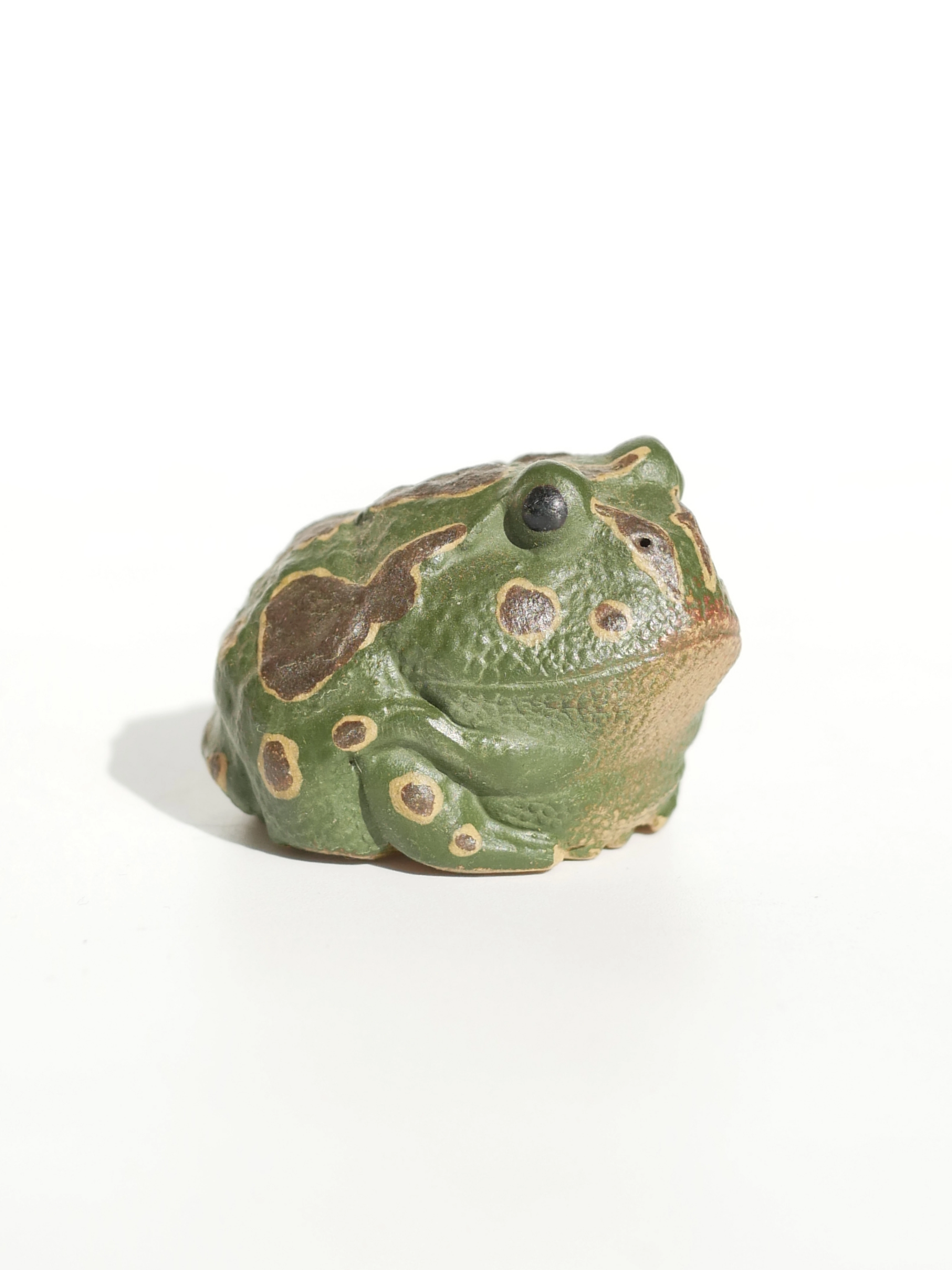 Mini Toads