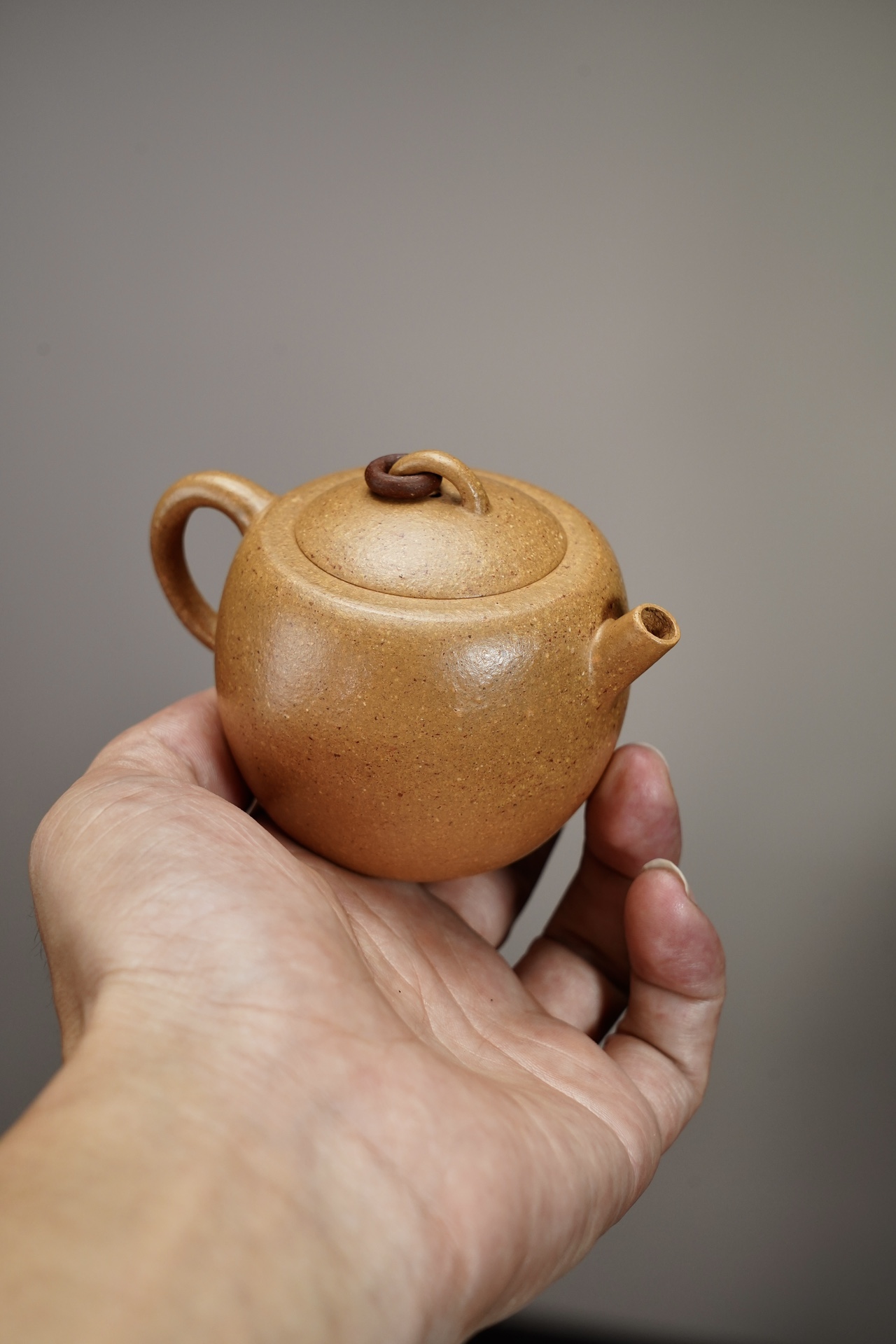 the "Julun Zhu", Yixing Purple Clay (Zisha) Teapot, Handmade Kung Fu Teapot 120ml
