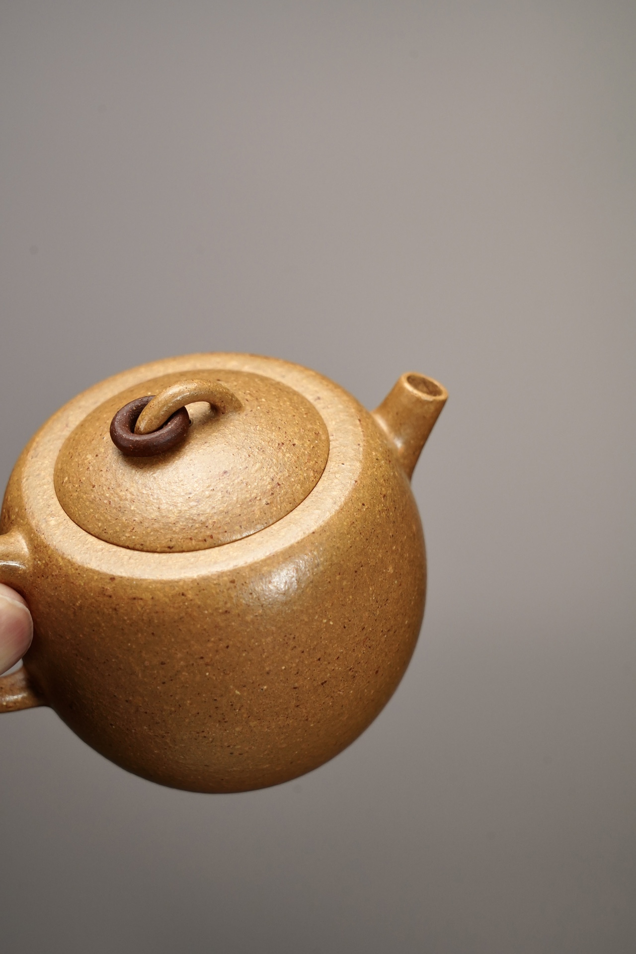 the "Julun Zhu", Yixing Purple Clay (Zisha) Teapot, Handmade Kung Fu Teapot 120ml