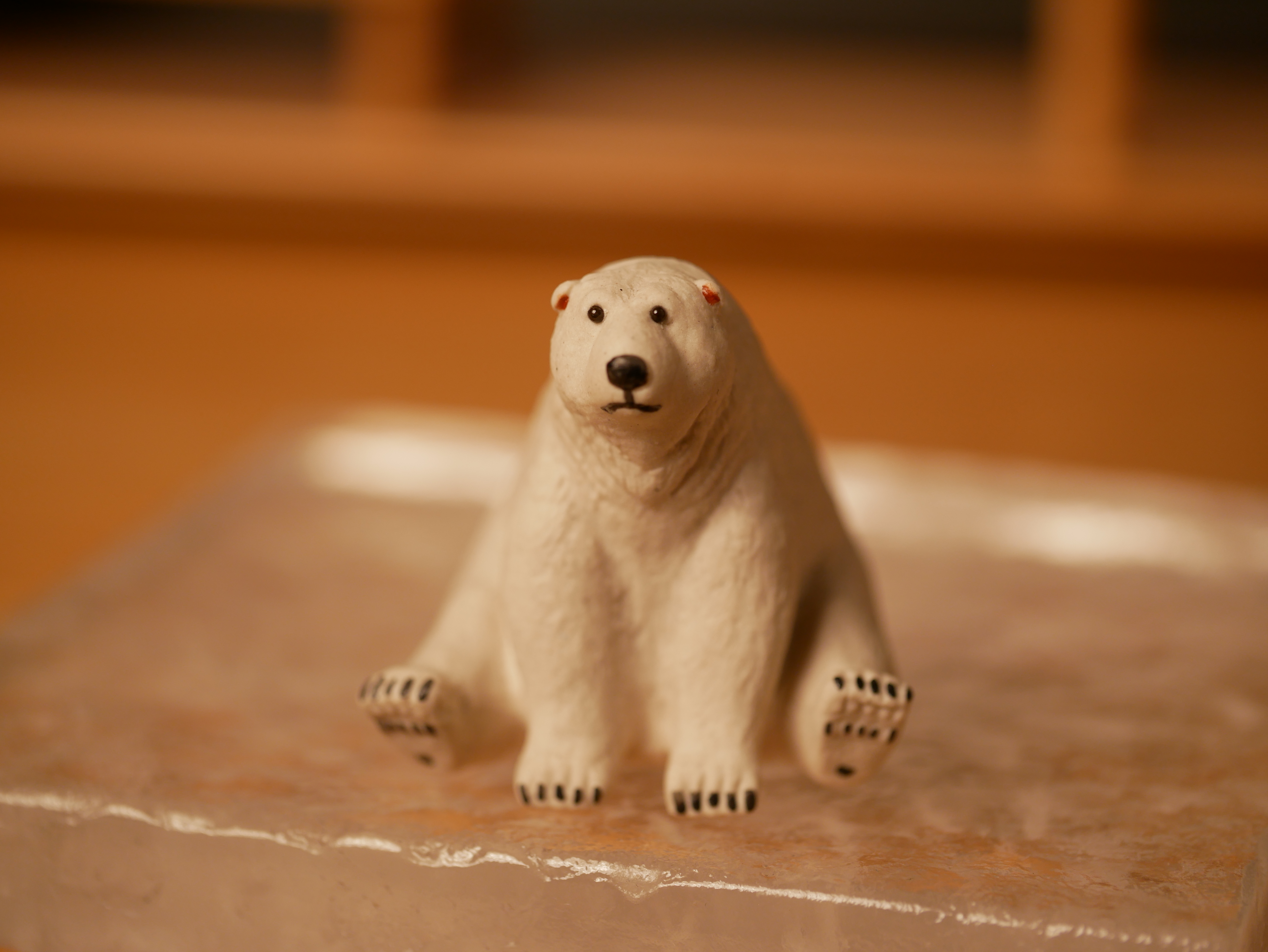 Adorkable Polar Bear
