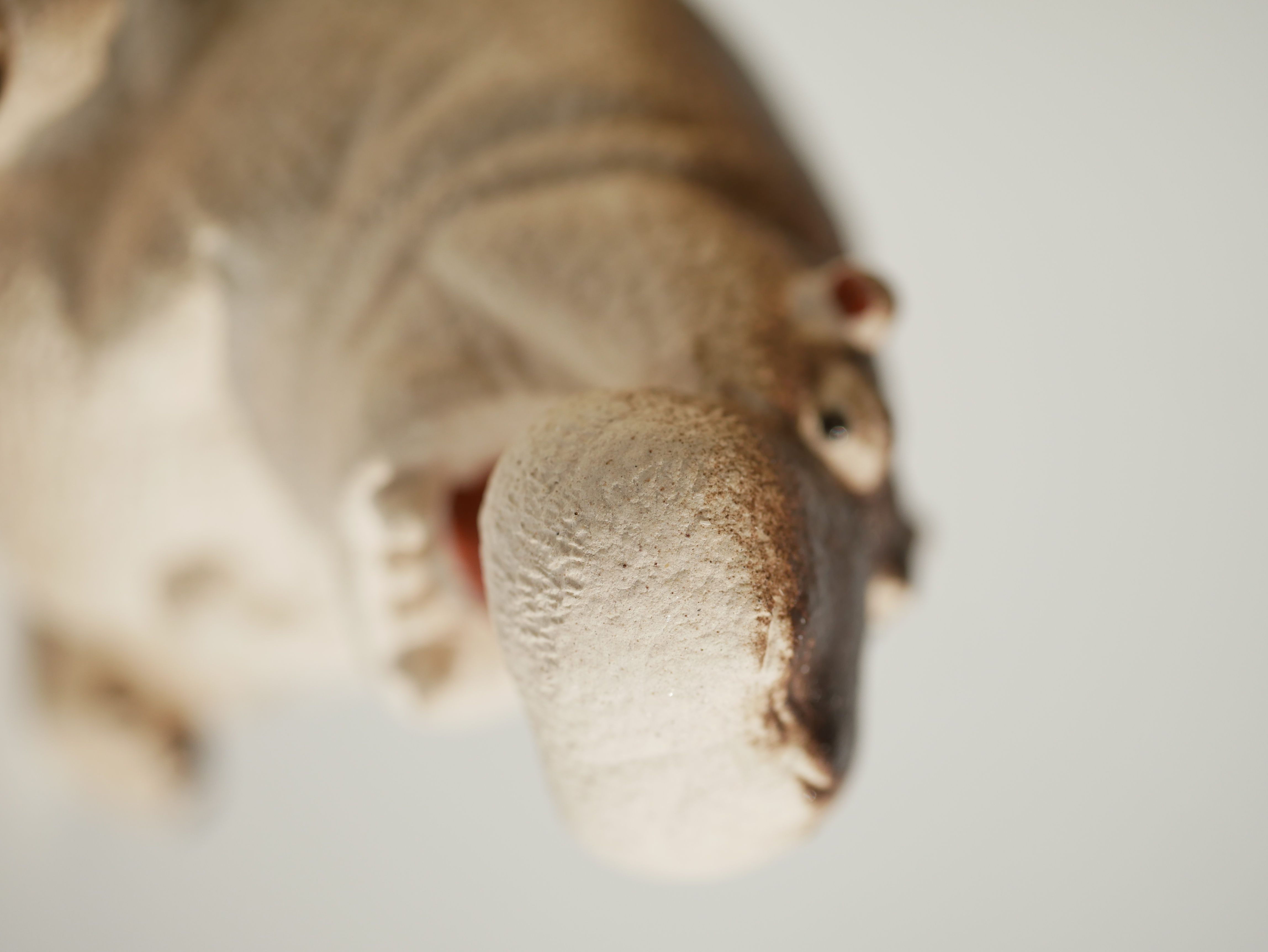 Smiling Hippo – LunaTeaware
