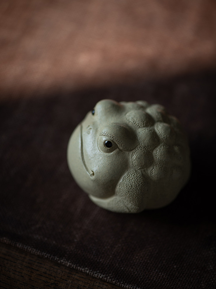 Pitbull Toad