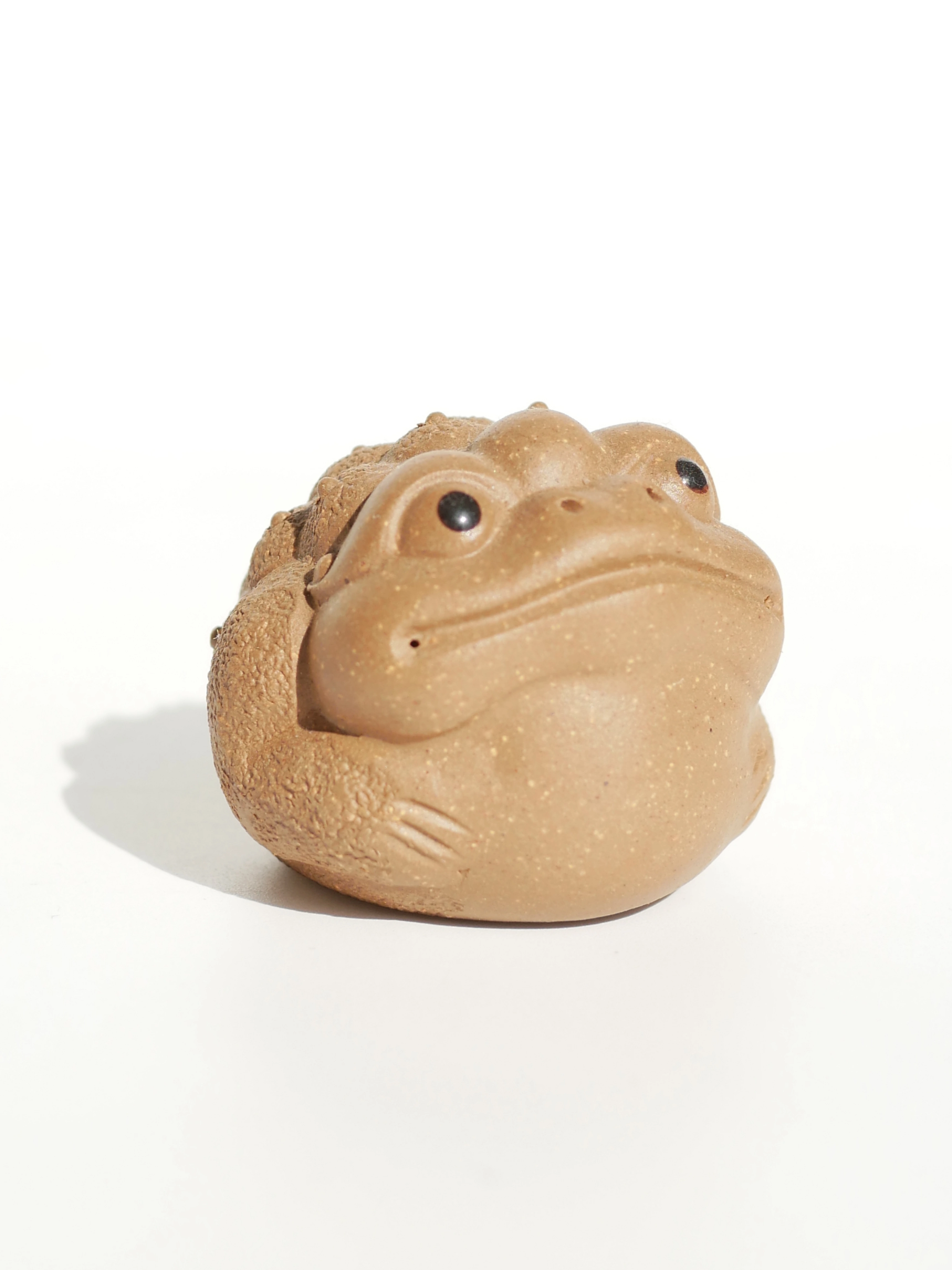 4 Colors Toads
