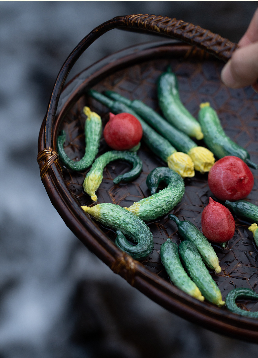 Collection of Miniature Cucumber and Radish