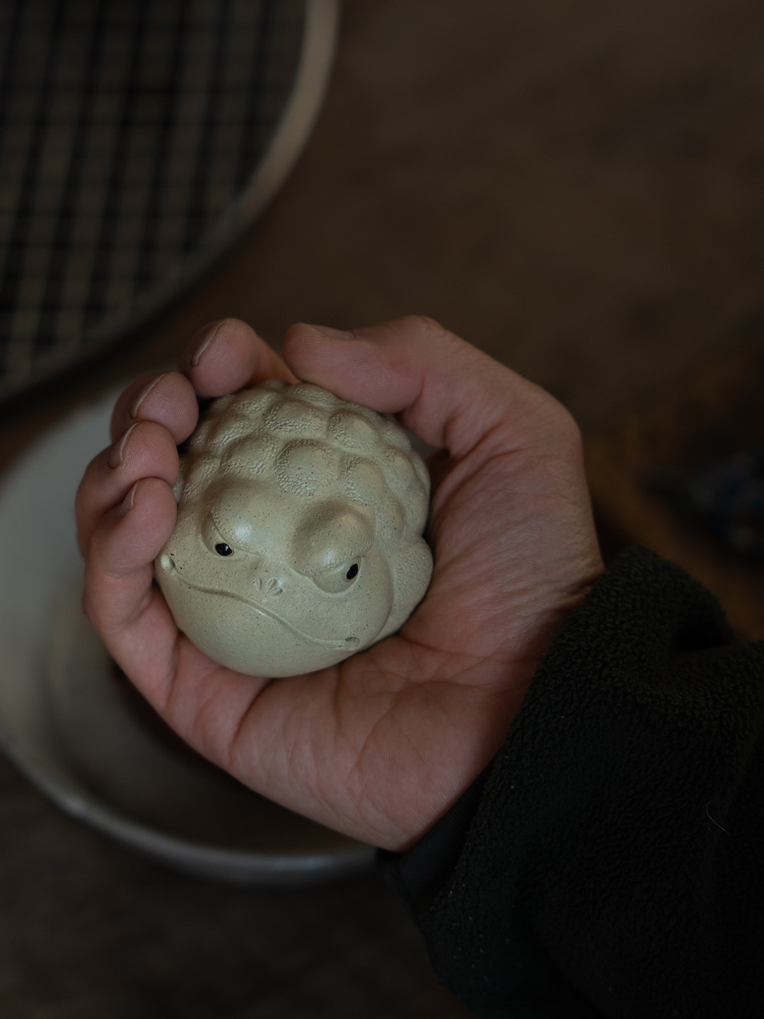 Pitbull Toad