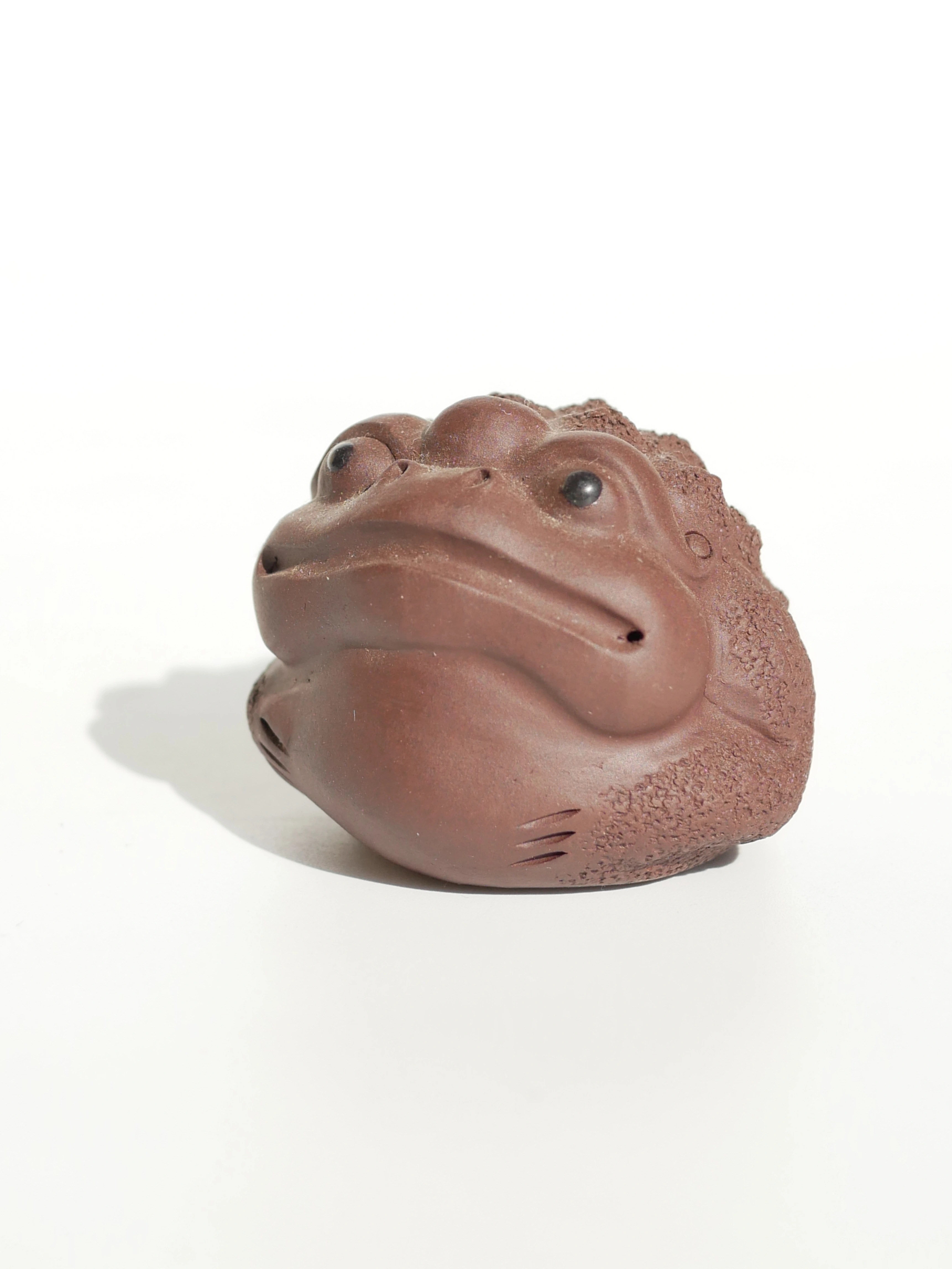 4 Colors Toads