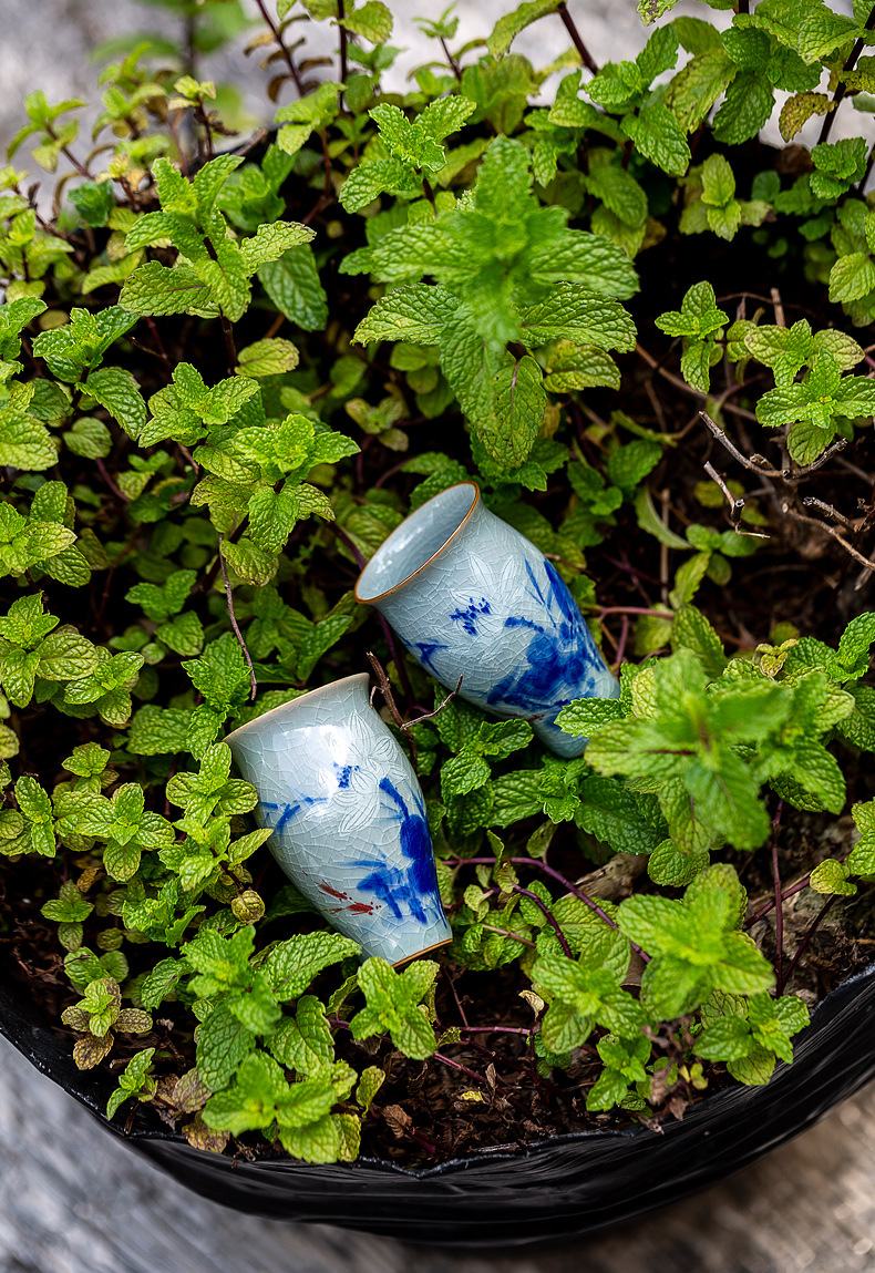 Slim Goldfish Tea Cup 45ml