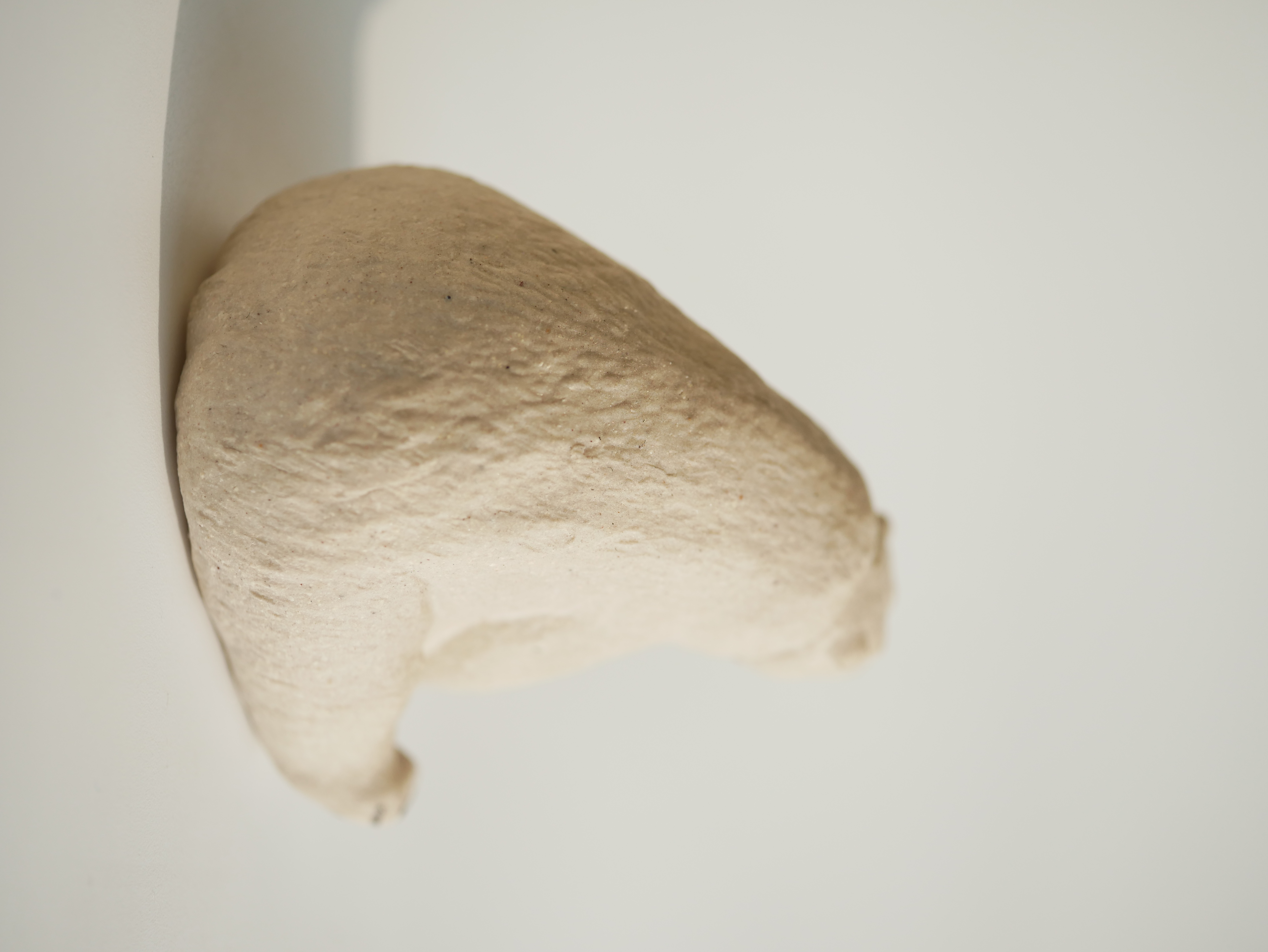 Adorkable Polar Bear