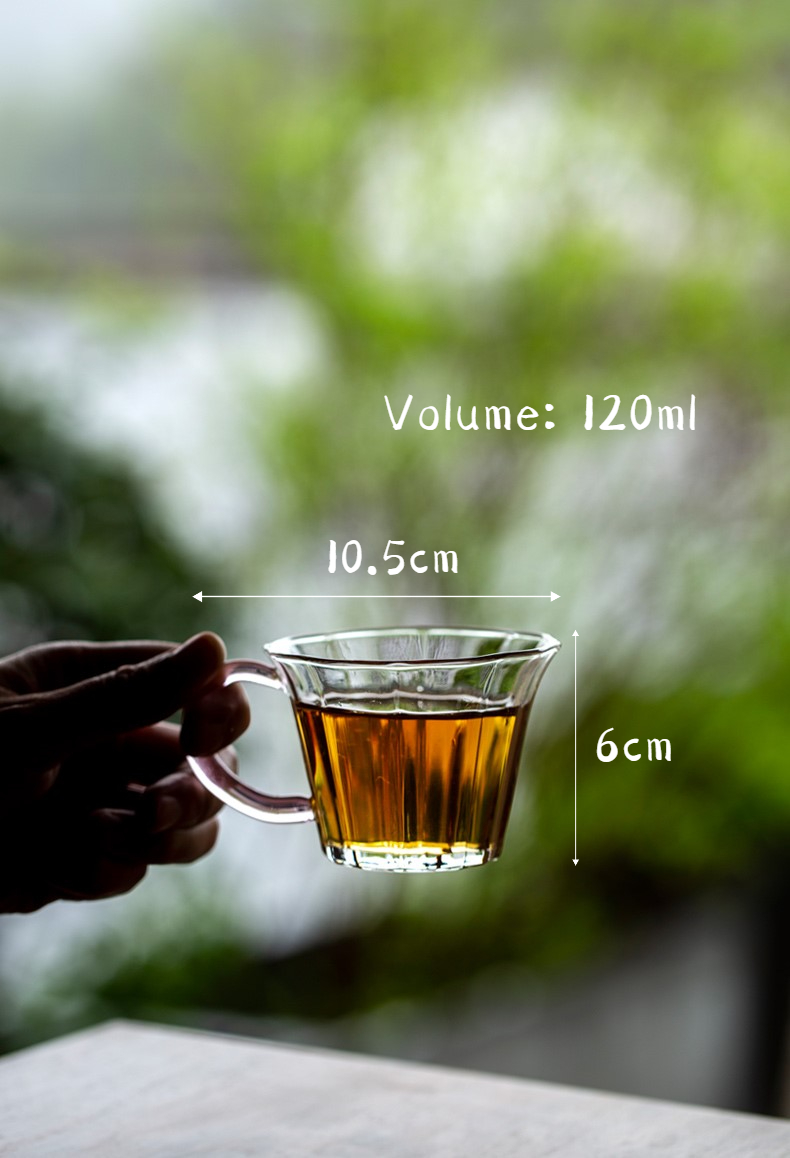 Small Glass Mug with Colored Handle