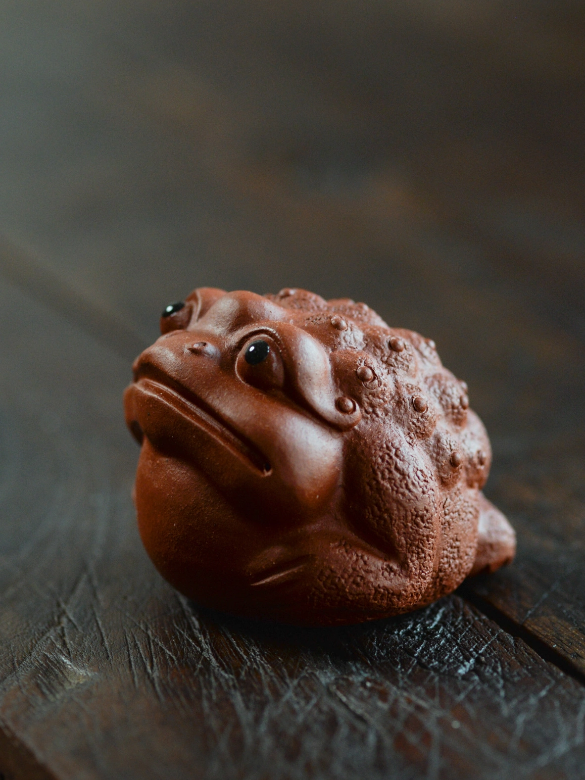 4 Colors Toads