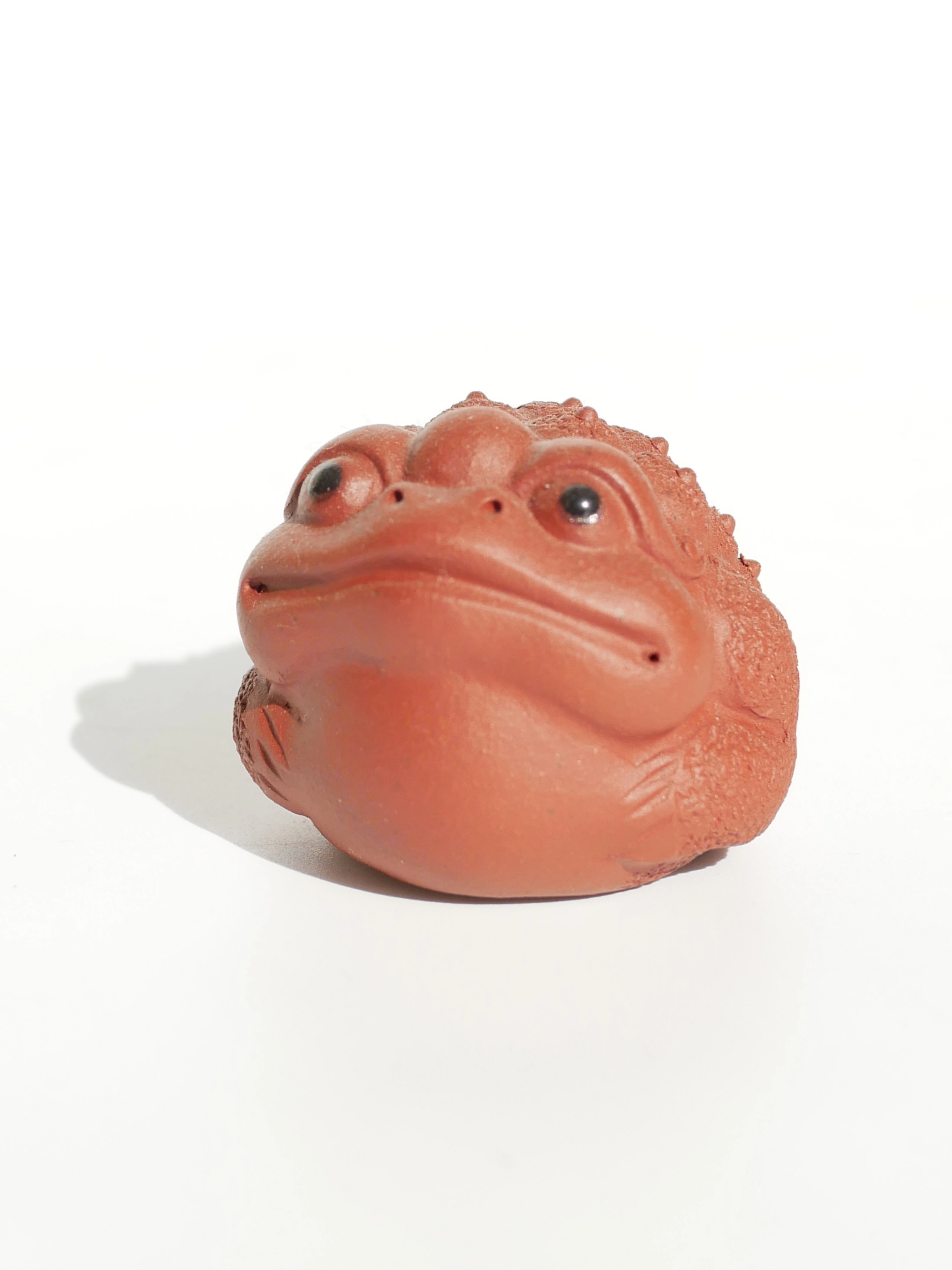 4 Colors Toads