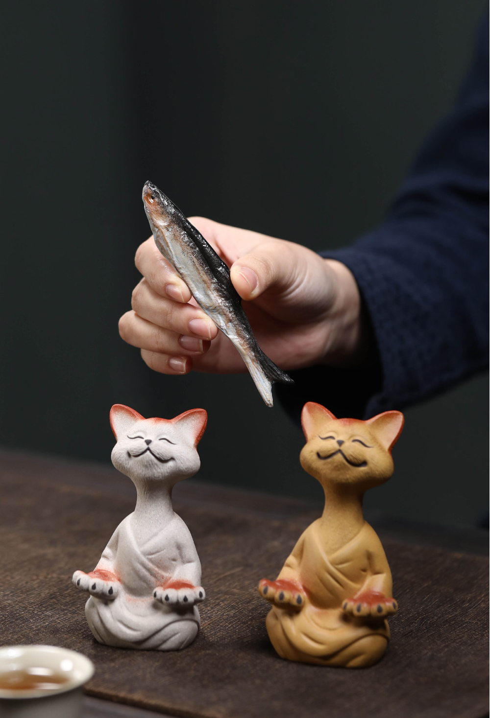 Master Cat in Meditation