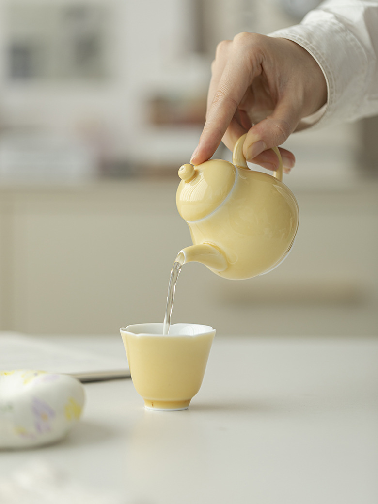 Monochrome Porcelain Teapot 135ml, 6 Colors Optional