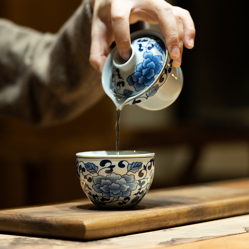 Blue and White Porcelain Teapot and Cup Travel Tea Set with Bag