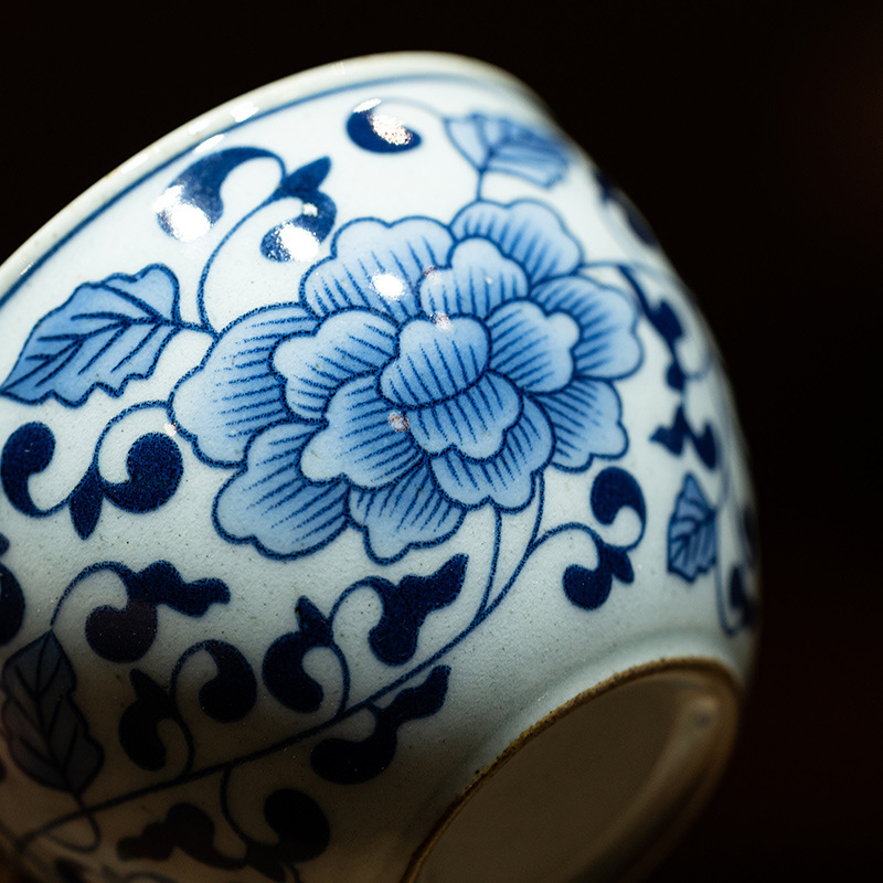 Blue and White Porcelain Teapot and Cup Travel Tea Set with Bag