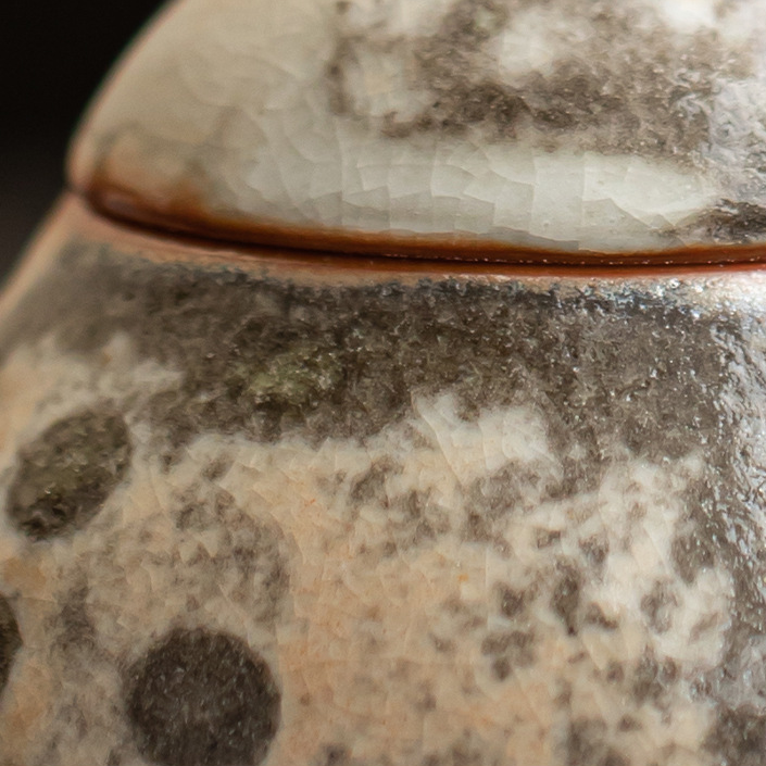 Japanese Shino Ware Style Black Cat Teapot 110ml