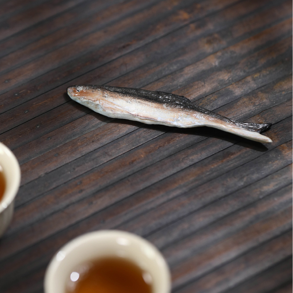 Master Cat in Meditation