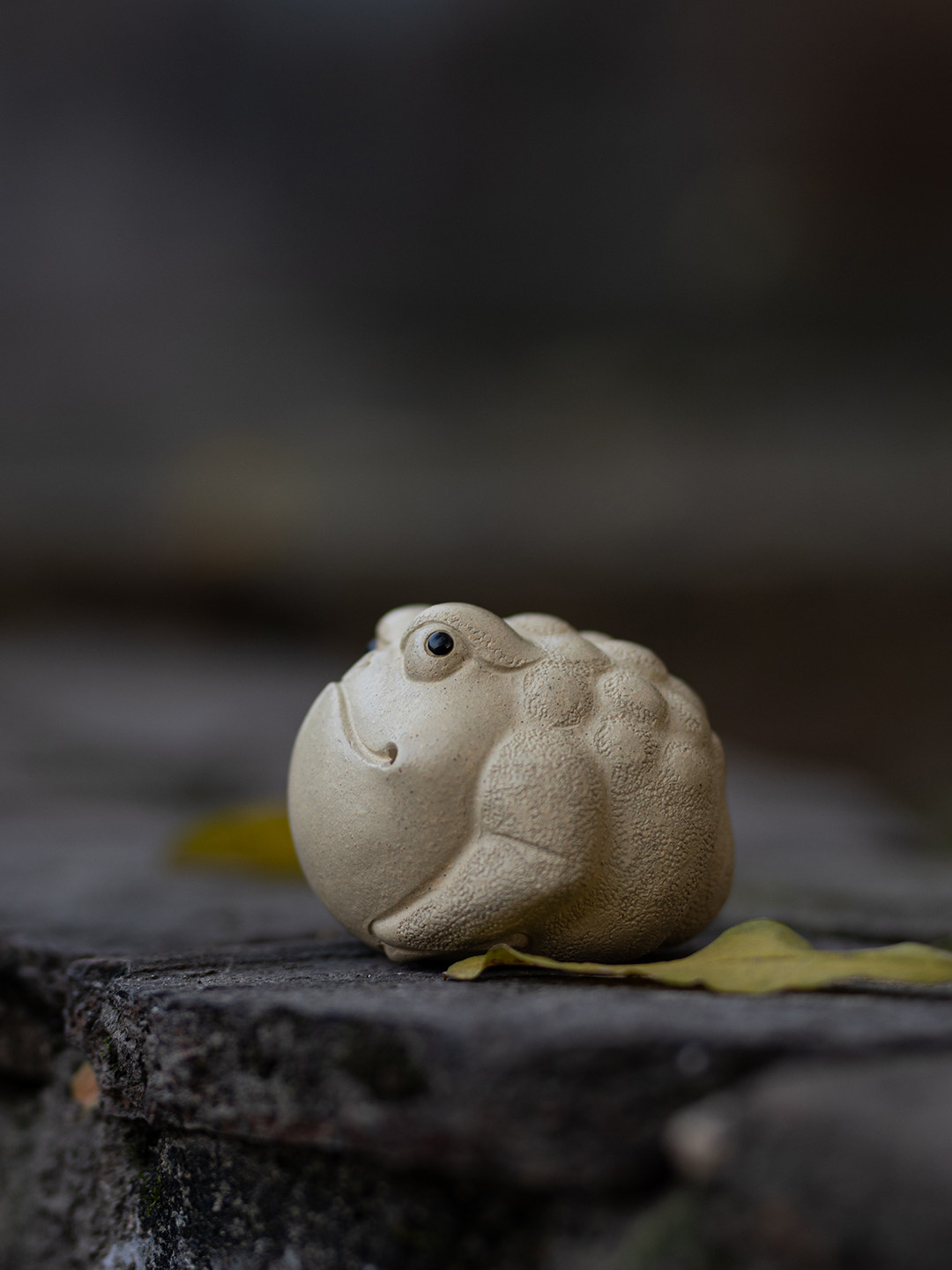 Pitbull Toad