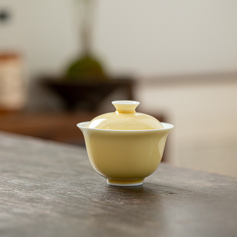 Monochrome Porcelain Gaiwan 13ml, 6 Colors Optional