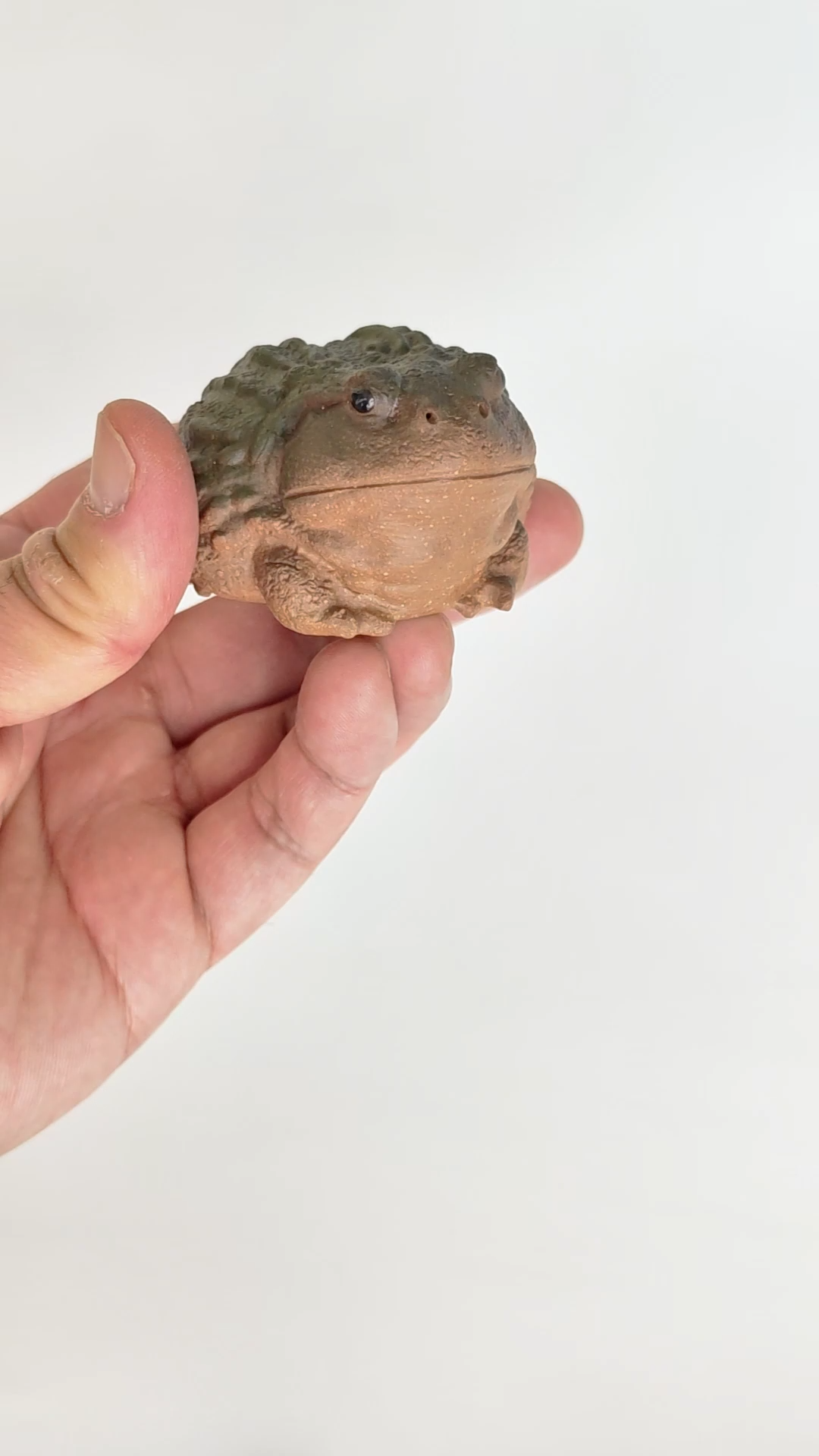 Lively Toad – LunaTeaware