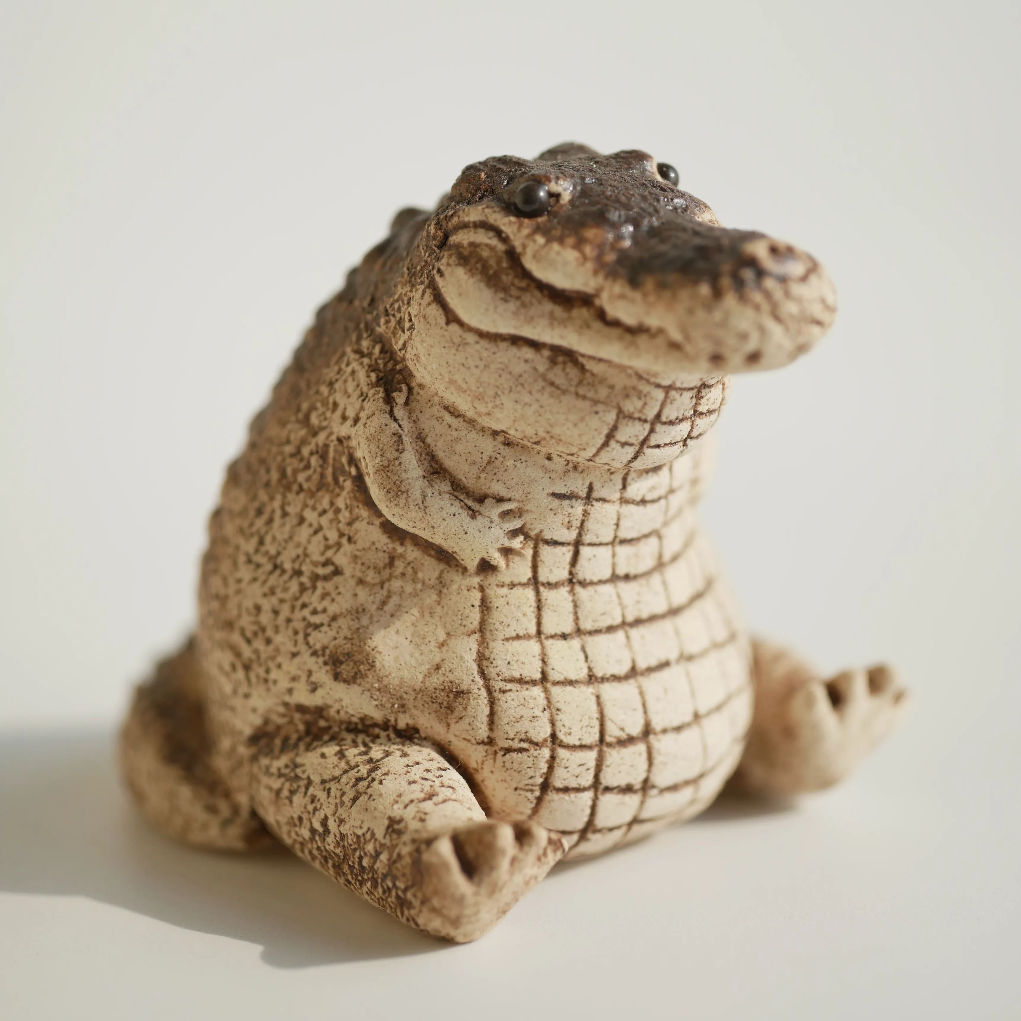 Chubby Crocodile