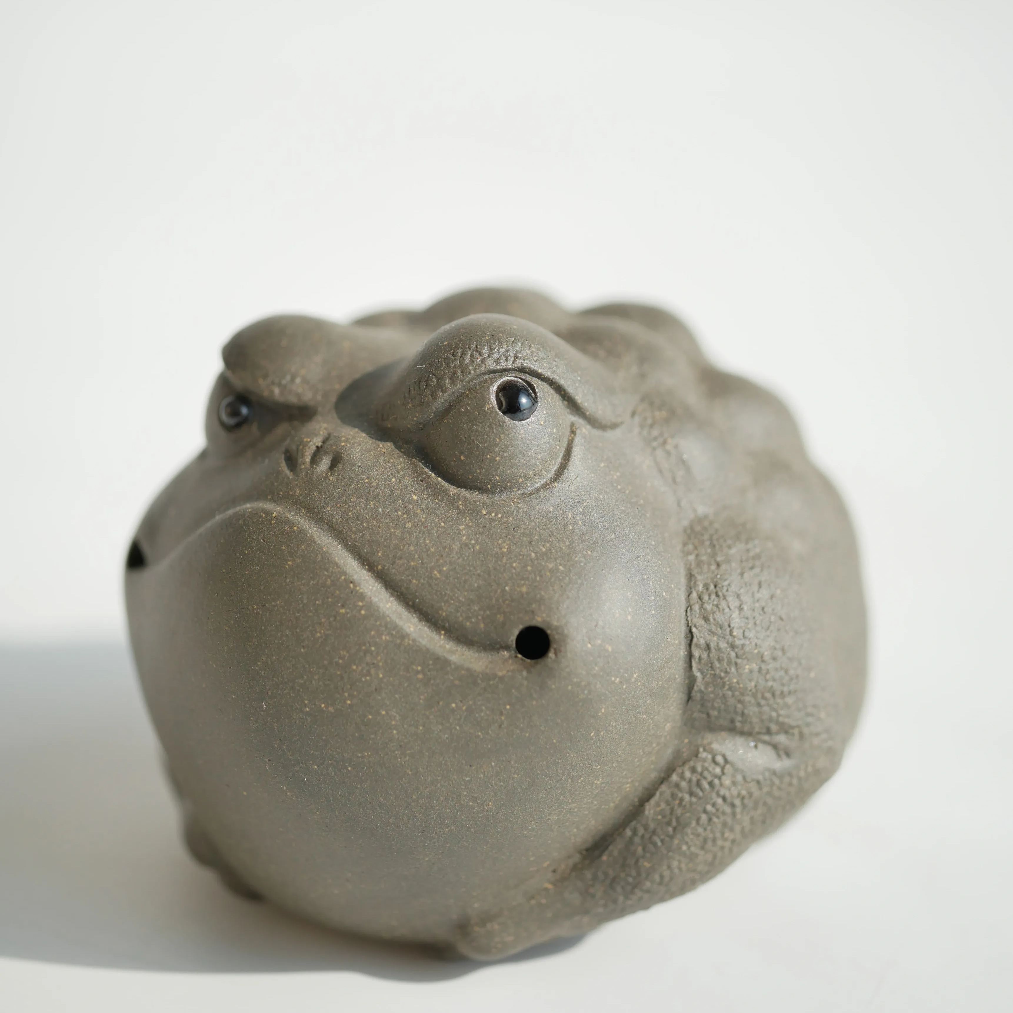 Pitbull Toad