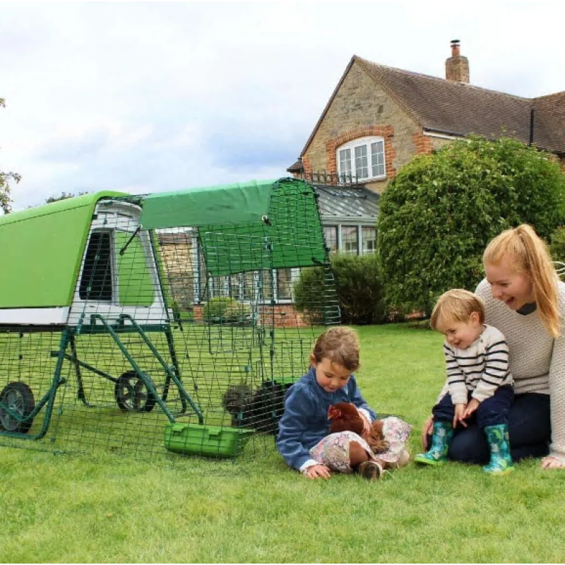 💓Clearance Sale – Best Chicken Coop