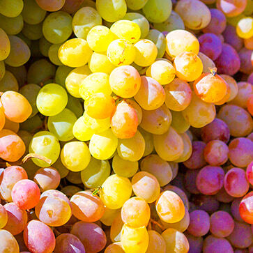 Grape
